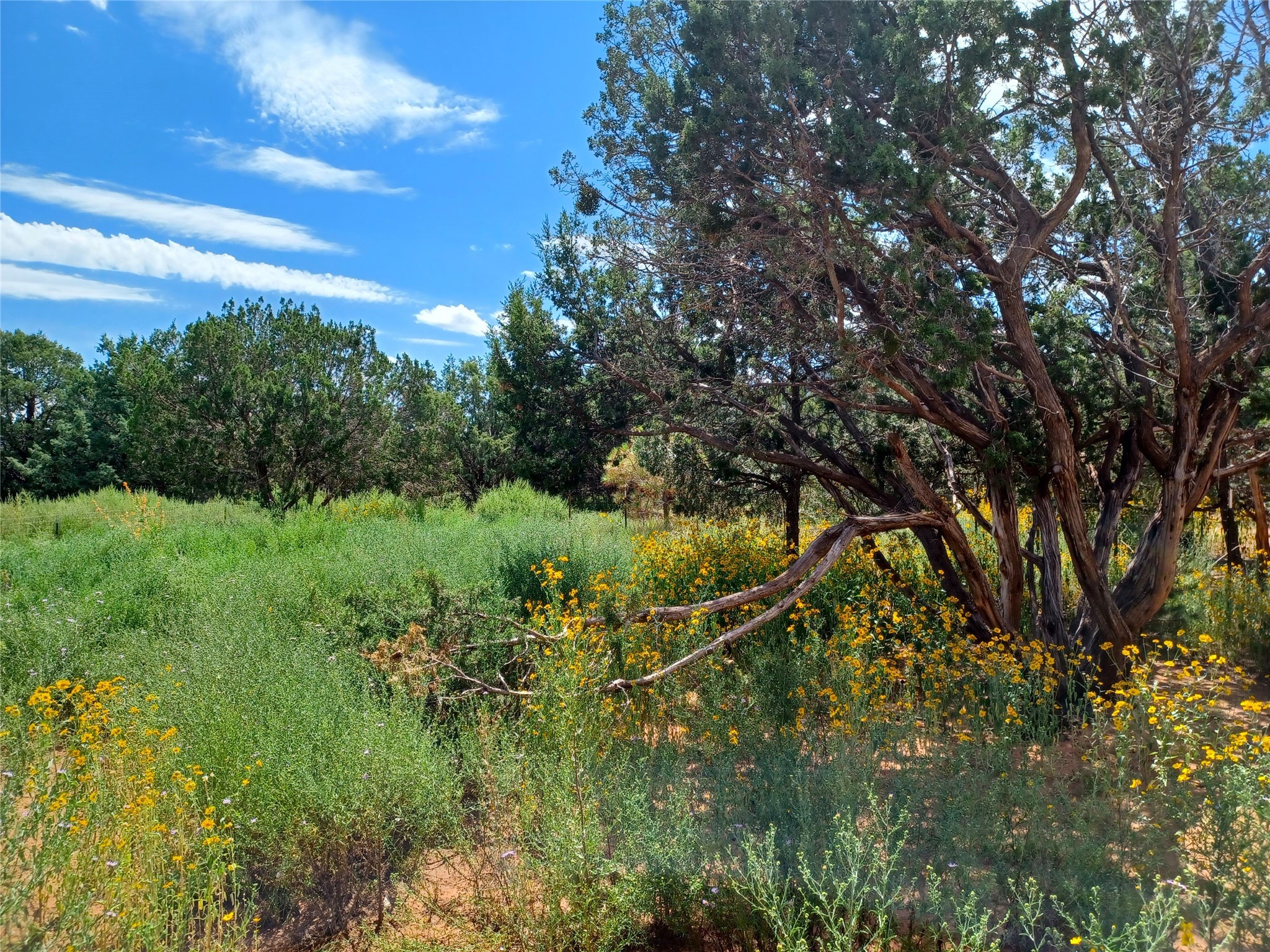 29 Mesa Baja Road, Rowe, New Mexico image 33