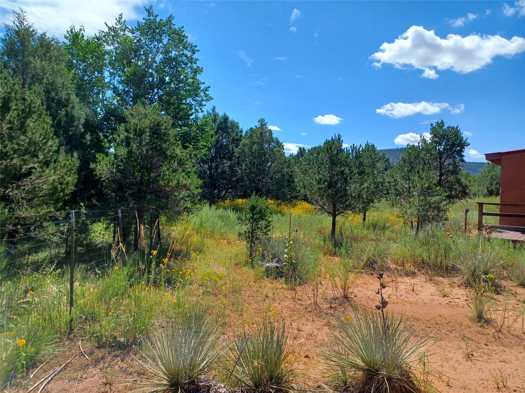 29 Mesa Baja Road, Rowe, New Mexico image 30