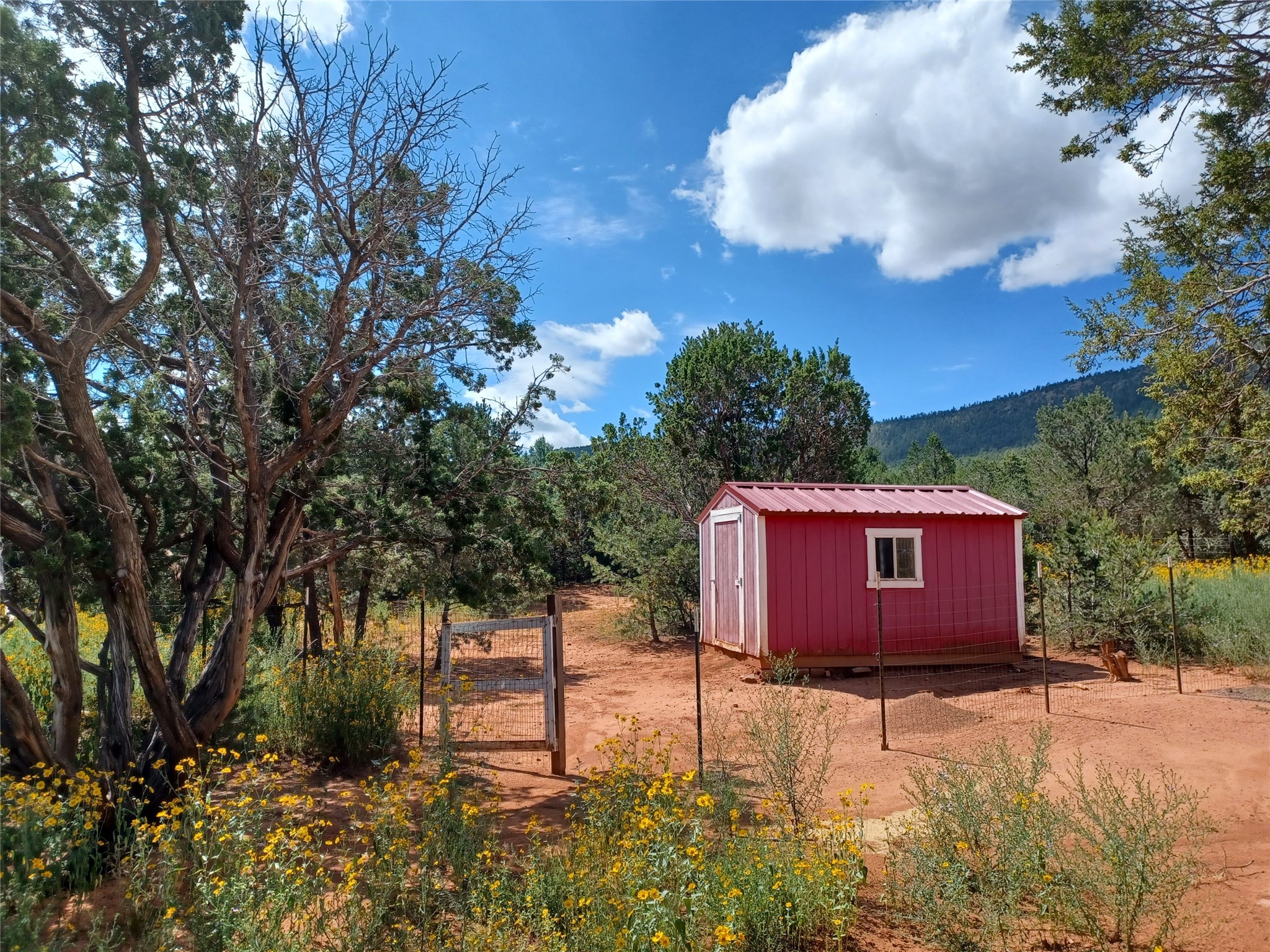 29 Mesa Baja Road, Rowe, New Mexico image 32