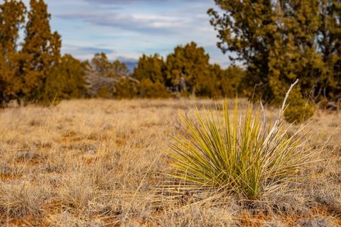 Tiny photo for 48 Three Sisters Ln, Cerrillos, NM 87010 (MLS # 202342070)