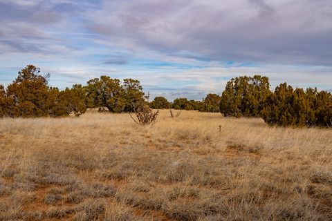 Tiny photo for 48 Three Sisters Ln, Cerrillos, NM 87010 (MLS # 202342070)