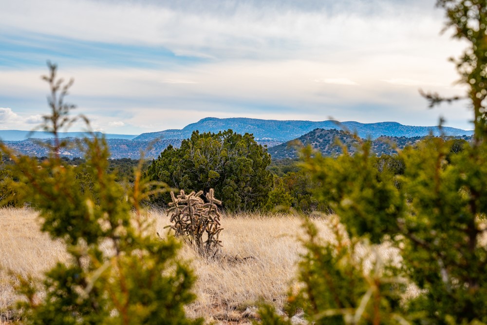 48 Three Sisters Ln, Cerrillos, New Mexico image 3