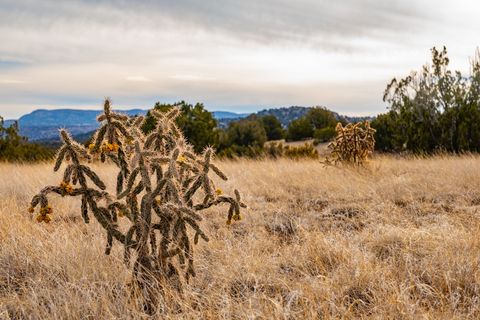 Tiny photo for 48 Three Sisters Ln, Cerrillos, NM 87010 (MLS # 202342070)