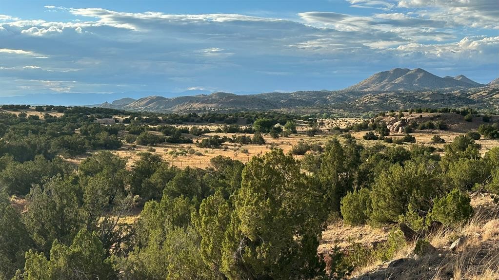 177 Camino Querencia, Cerrillos, New Mexico image 33