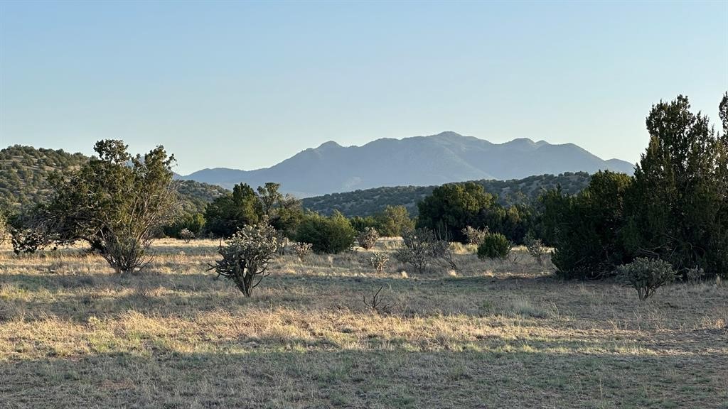 177 Camino Querencia, Cerrillos, New Mexico image 50
