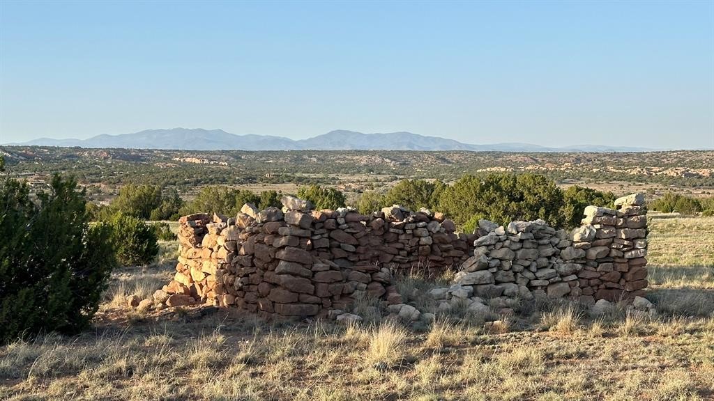 177 Camino Querencia, Cerrillos, New Mexico image 46