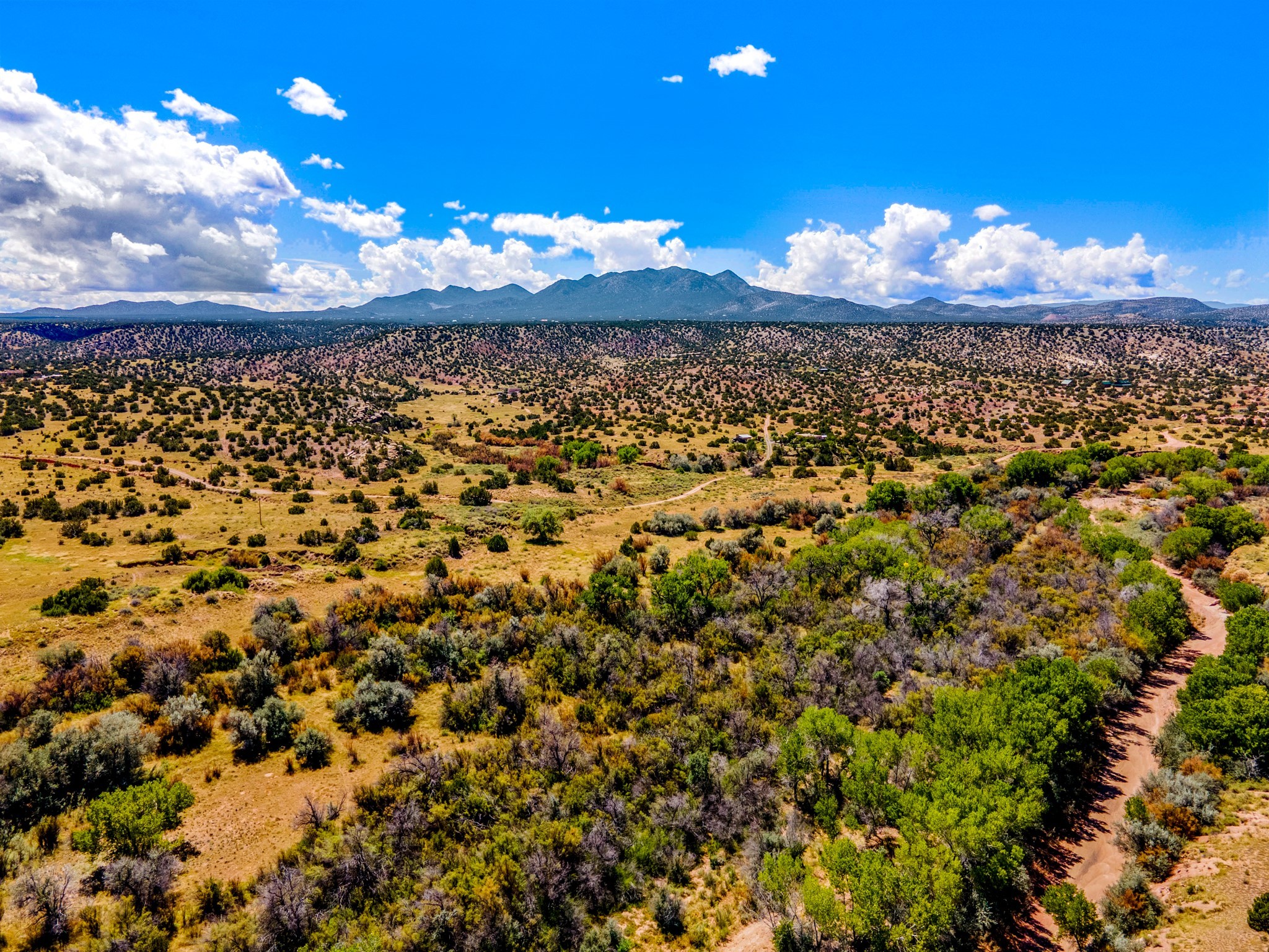 177 Camino Querencia, Cerrillos, New Mexico image 10