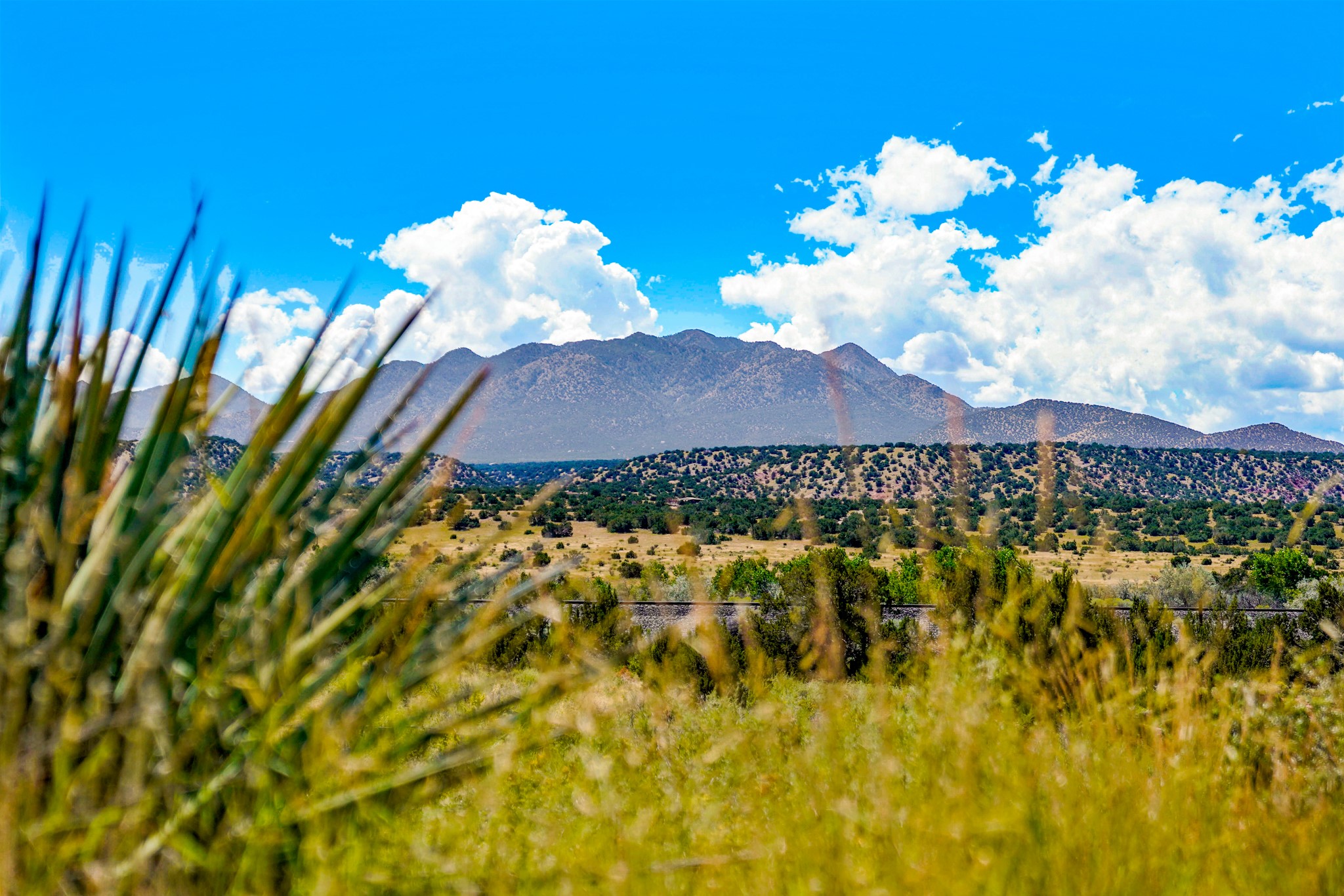 177 Camino Querencia, Cerrillos, New Mexico image 4