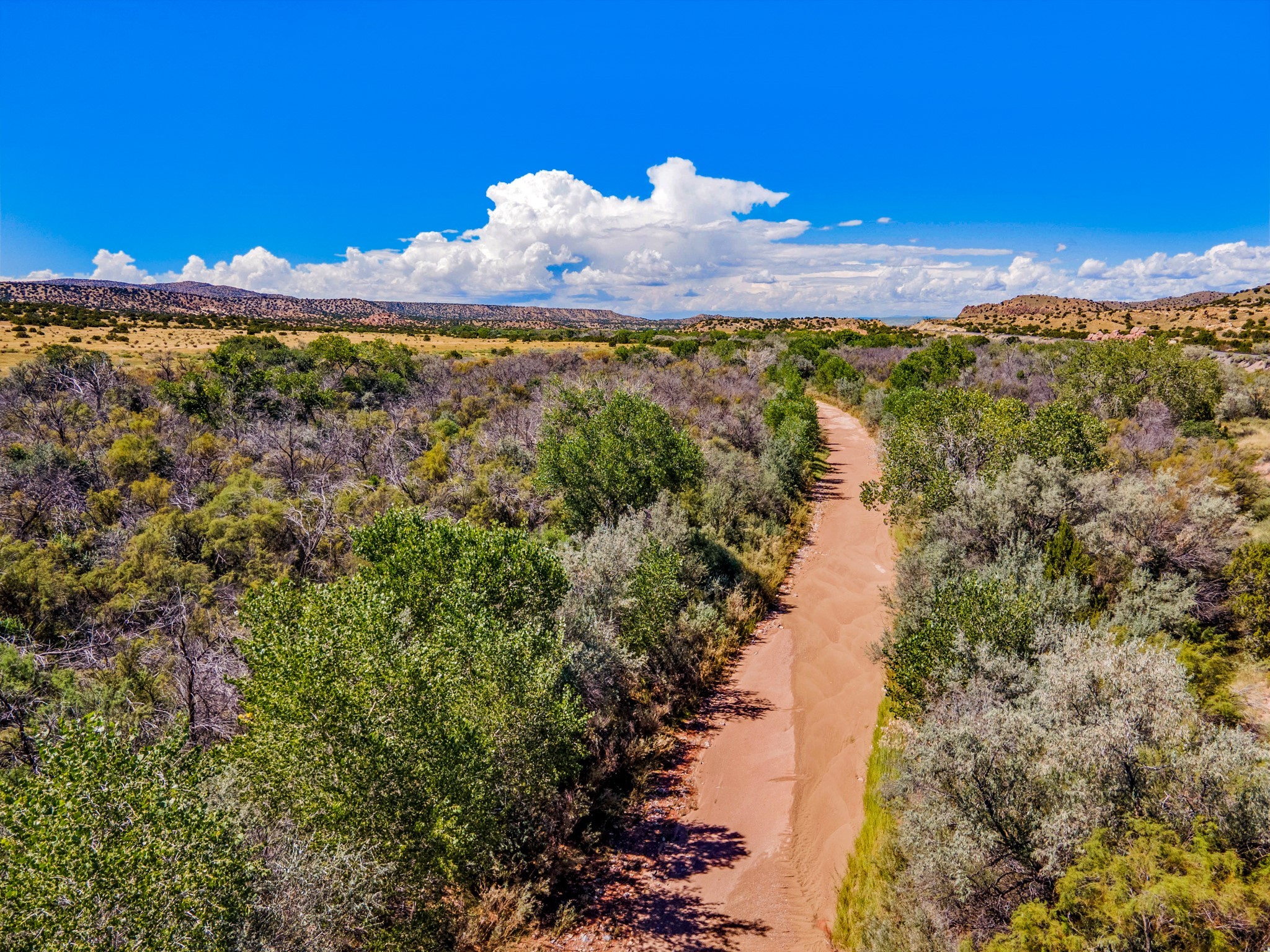 177 Camino Querencia, Cerrillos, New Mexico image 9