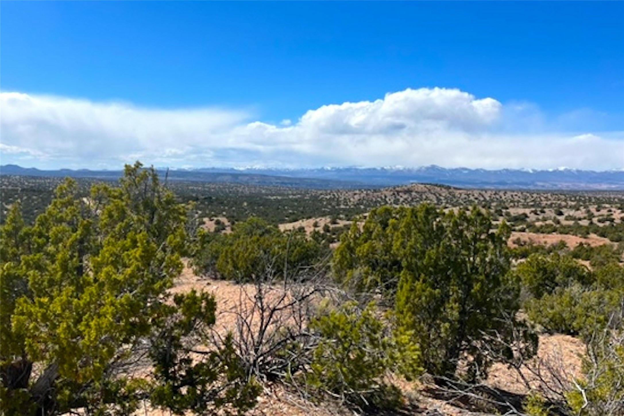 134 Vuelta Maria, Santa Fe, New Mexico image 3