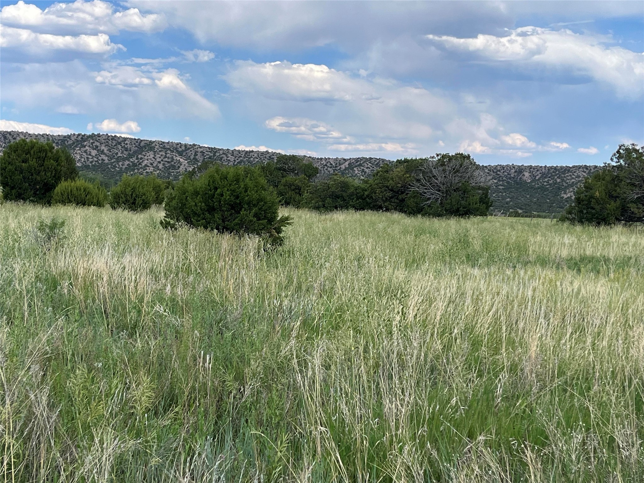 270 NM 215, El Rito, New Mexico image 18