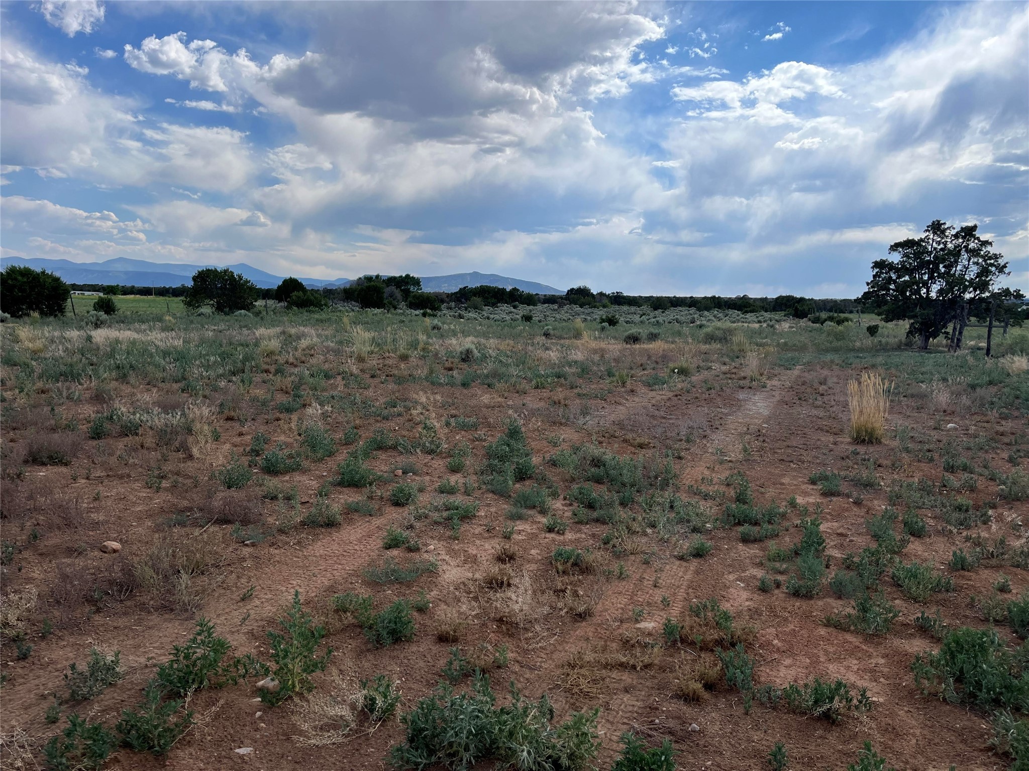 270 NM 215, El Rito, New Mexico image 9