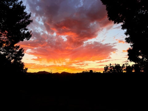 Tiny photo for 14 Camino Azul, Santa Fe, NM 87508 (MLS # 202603024)