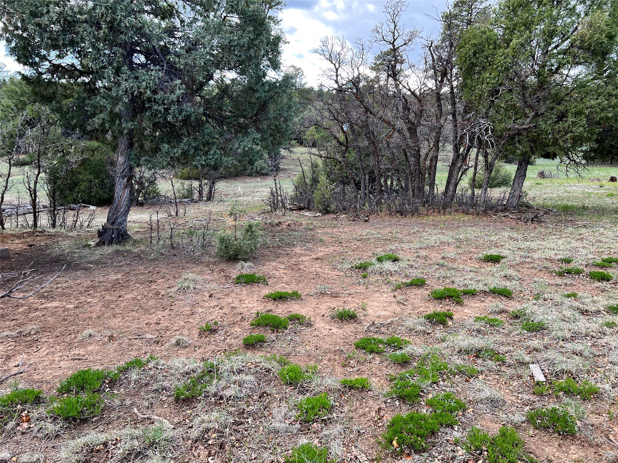 9 Laguna Vista Dr Dr, Los Ojos, New Mexico image 9