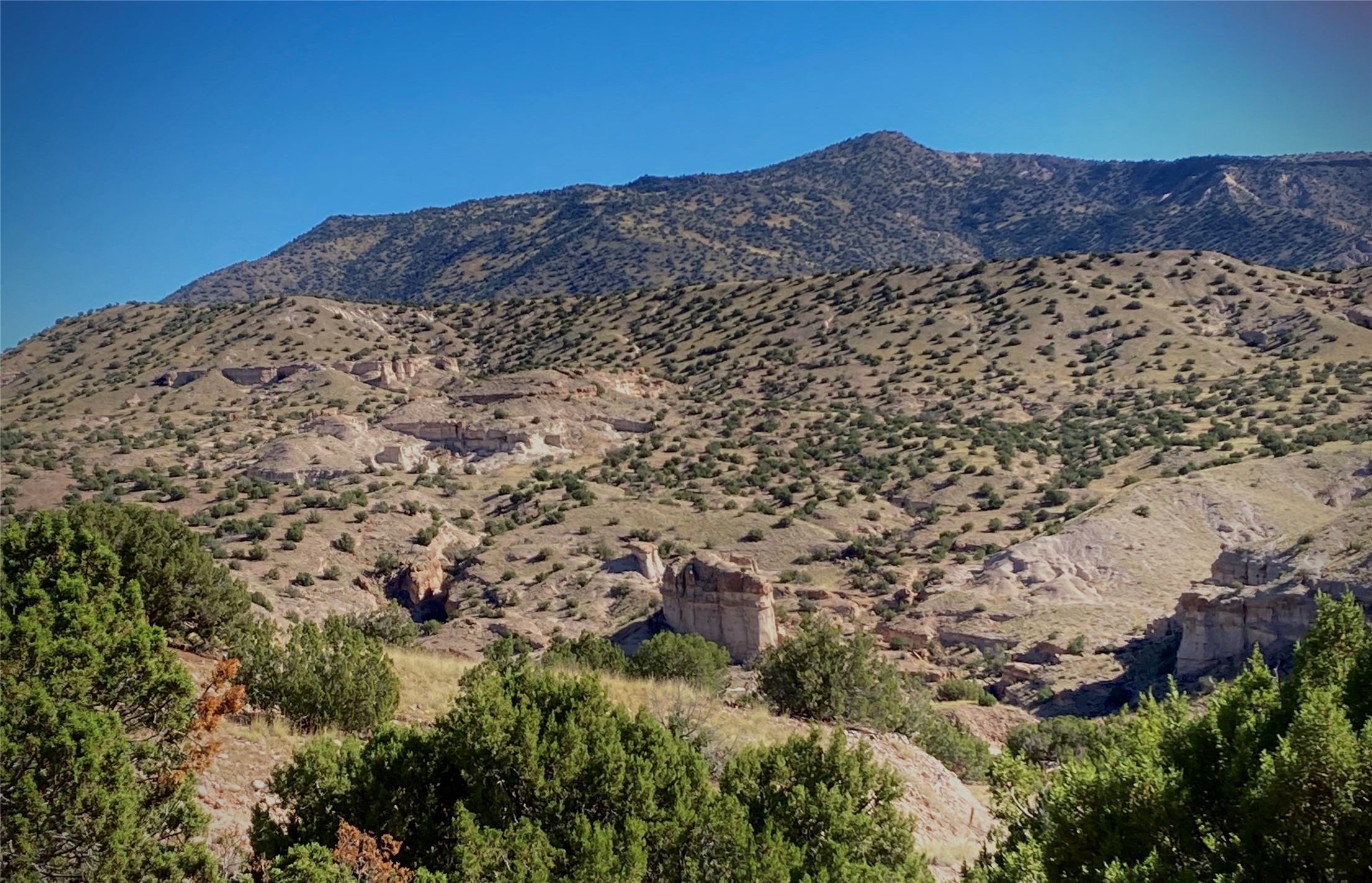 126 Cr 156 #A, Abiquiu, New Mexico image 39