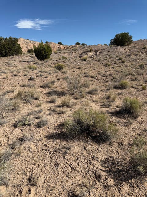 Vacant Land For Sale - TBD Pueblo Drive<br/> Abiquiu, NM 87510