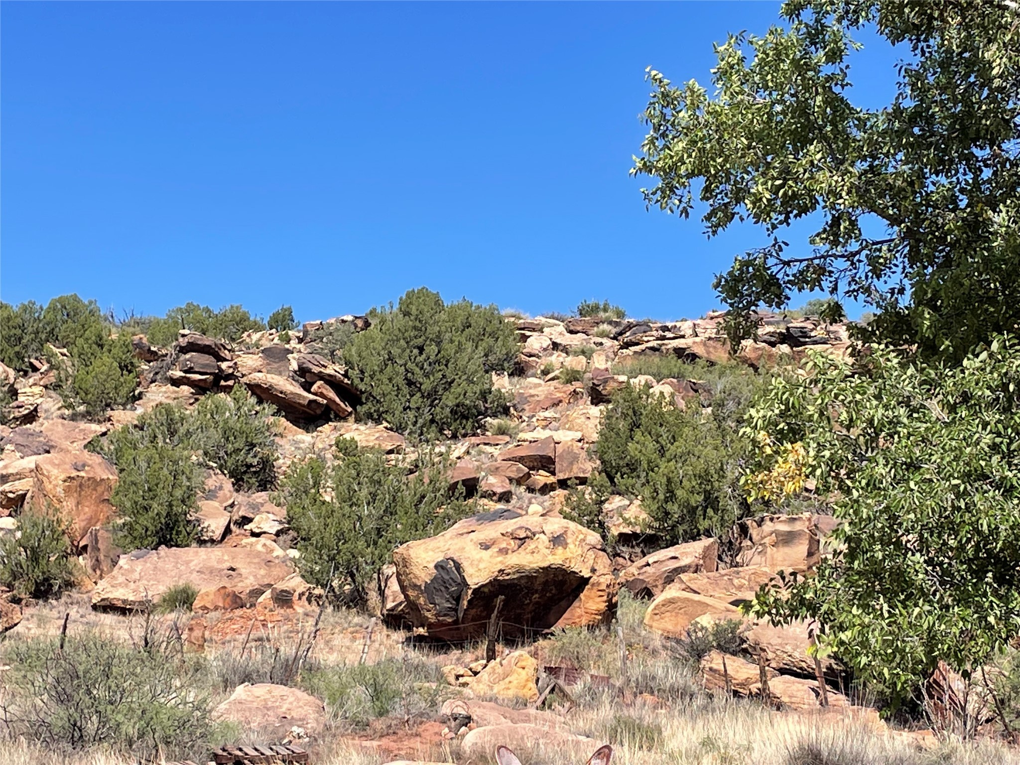 1887 1887 Pintada Rd Road, Santa Rosa, New Mexico image 2