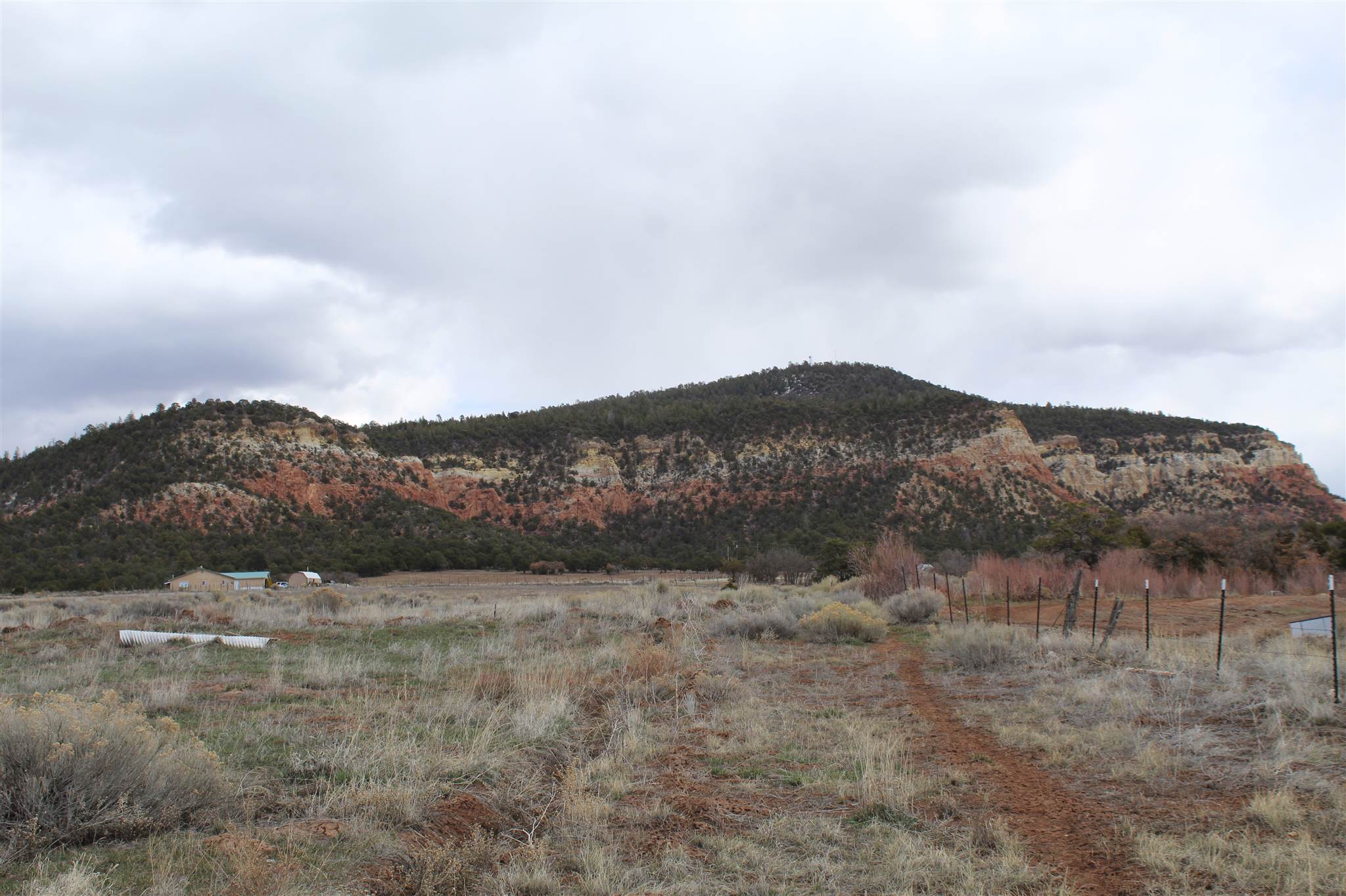 LOT 5 Nm-96, Gallina, New Mexico image 2