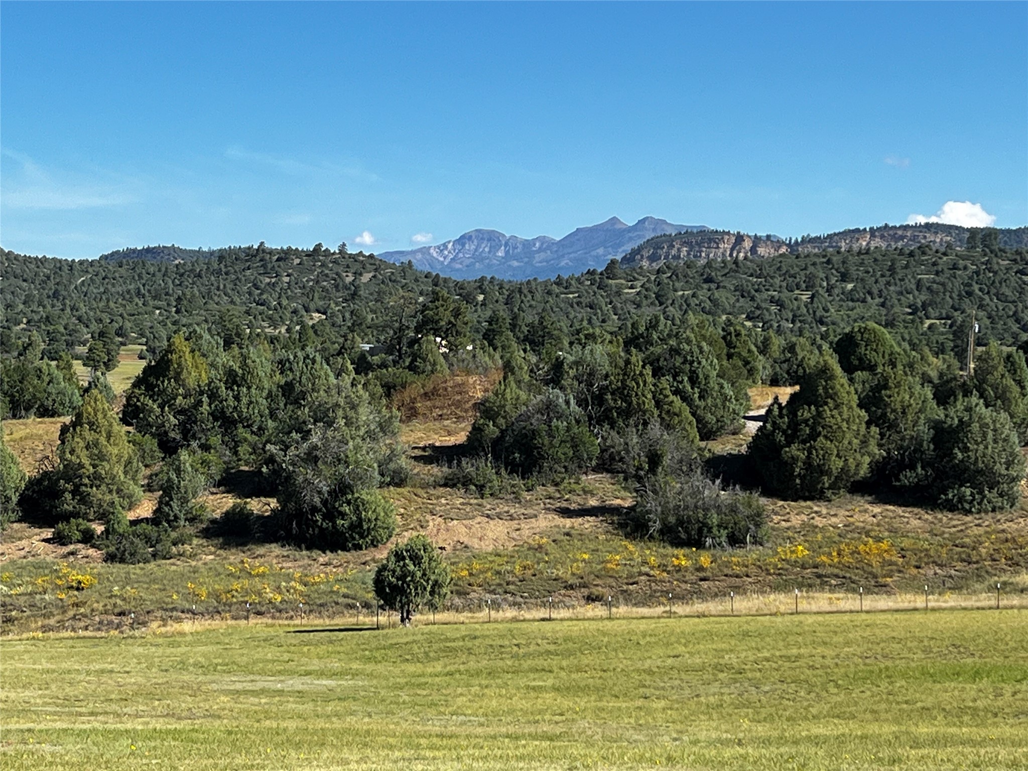 92 Elk Drive, Chama, New Mexico image 2