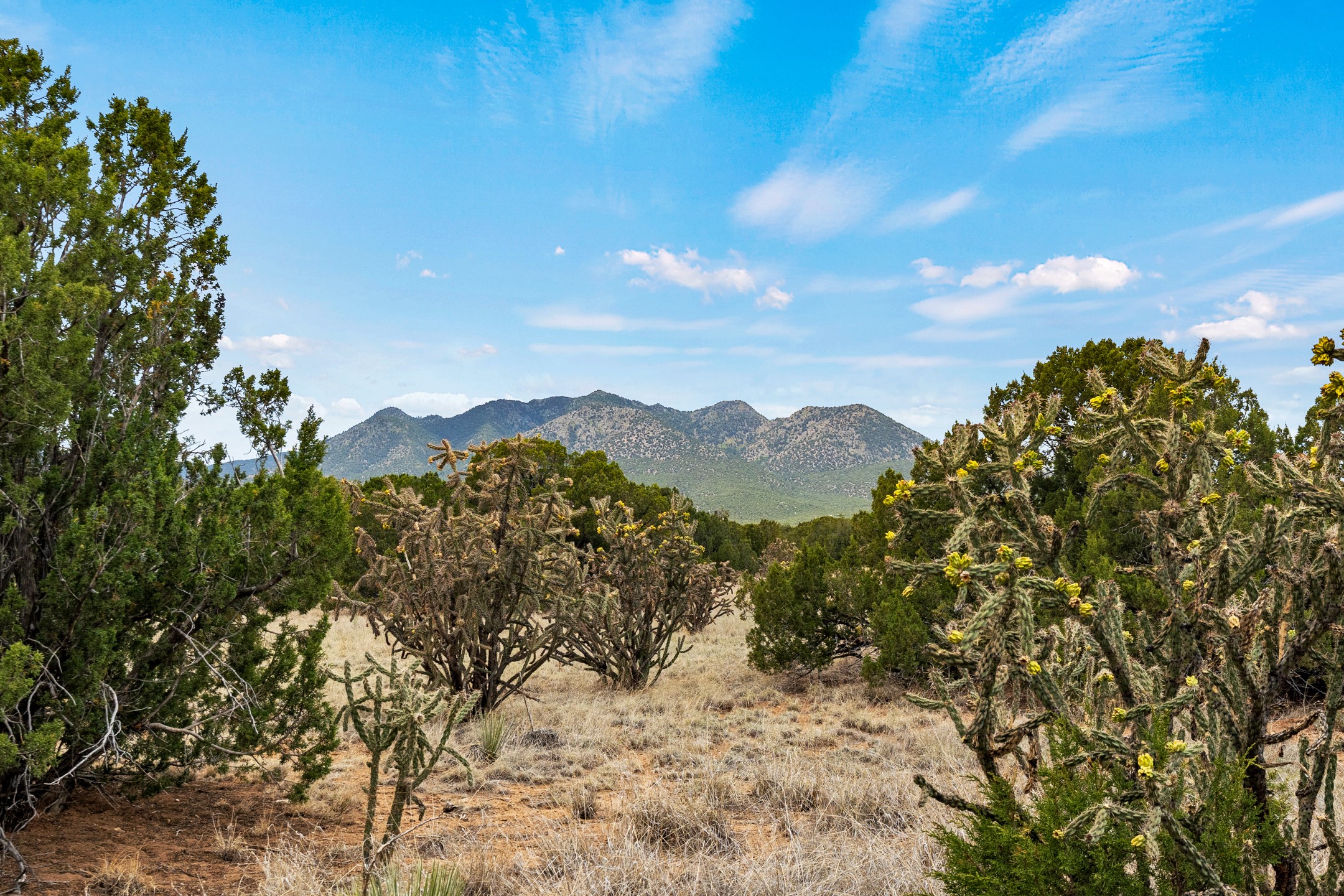 84 Silver Spur Trail, Cerrillos, New Mexico image 3