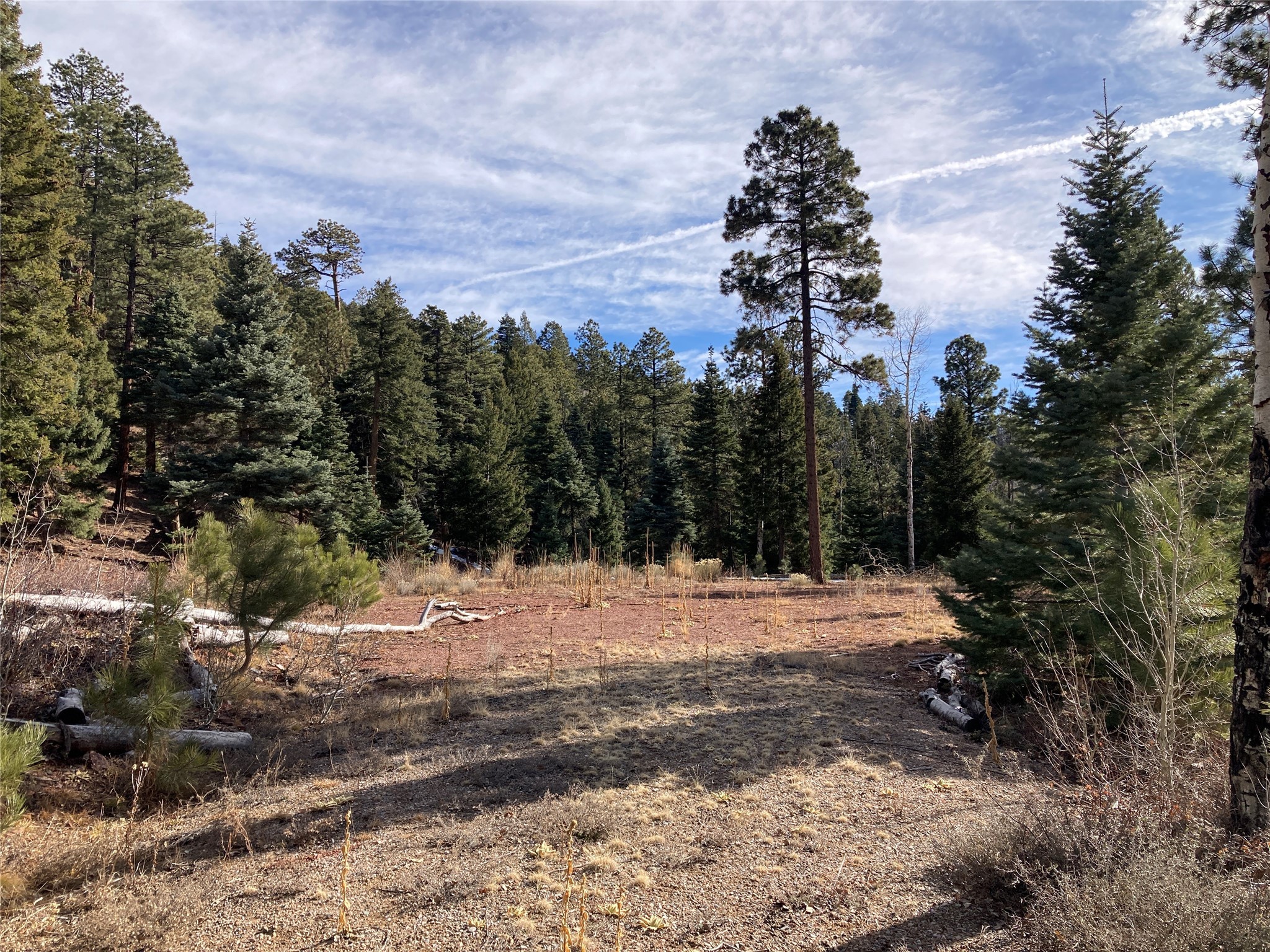 TBD West Tract 11, Chama, New Mexico image 10