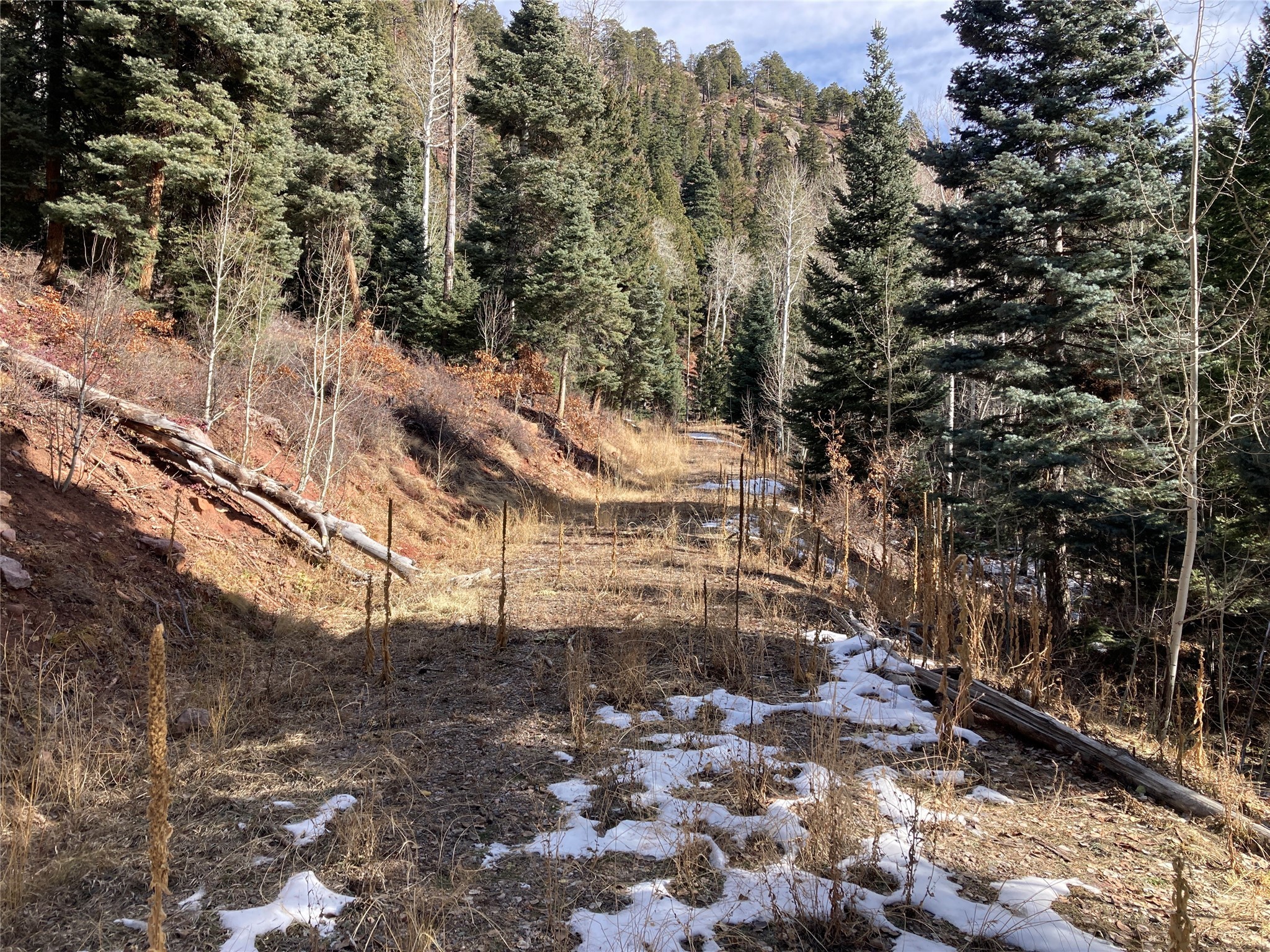 TBD West Tract 11, Chama, New Mexico image 4