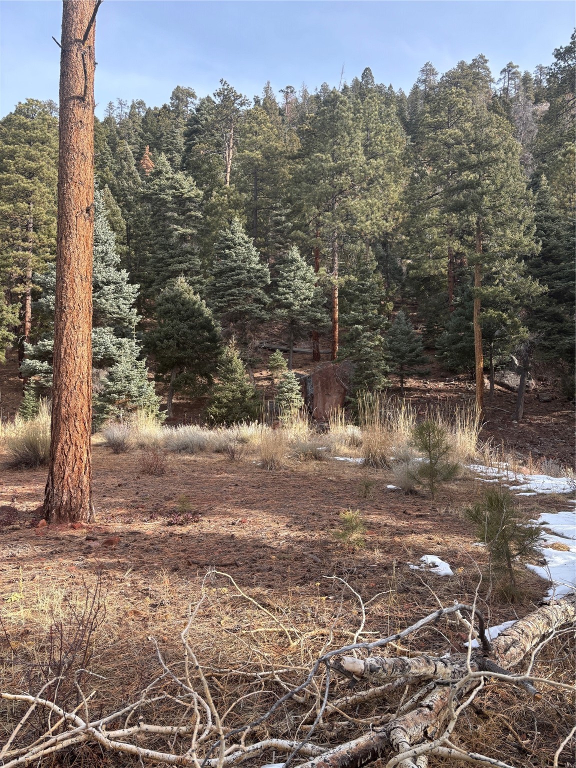 TBD West Tract 11, Chama, New Mexico image 30