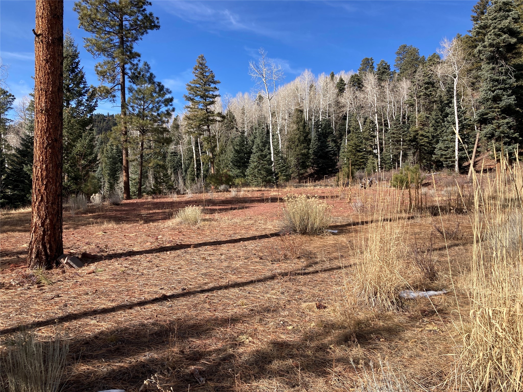 TBD West Tract 11, Chama, New Mexico image 6