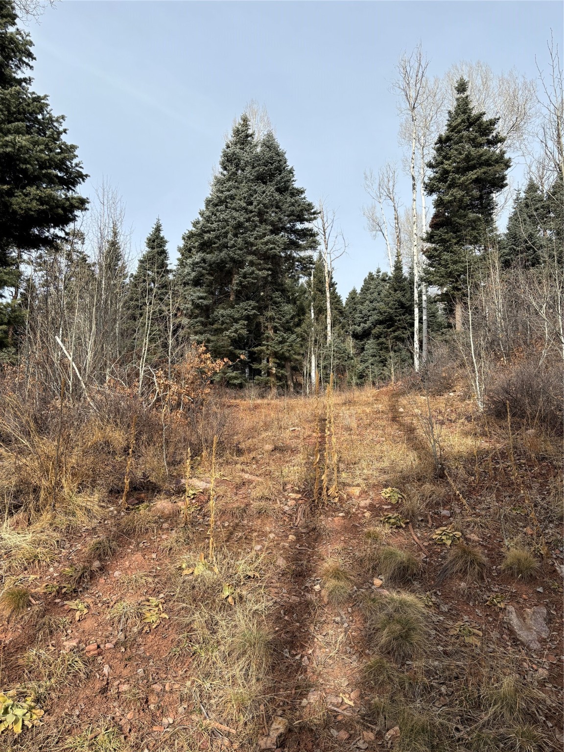 TBD West Tract 11, Chama, New Mexico image 29