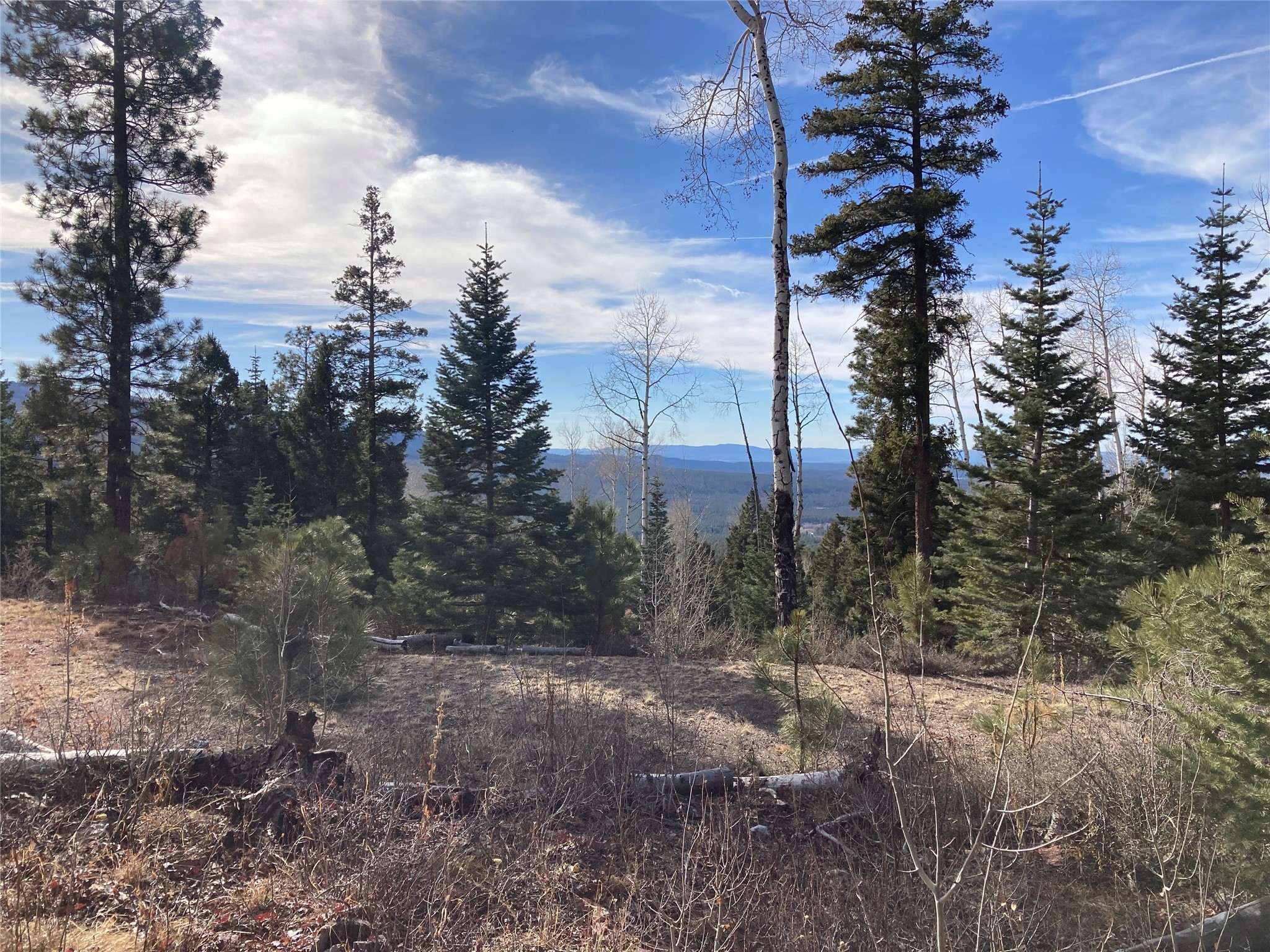 TBD West Tract 11, Chama, New Mexico image 19