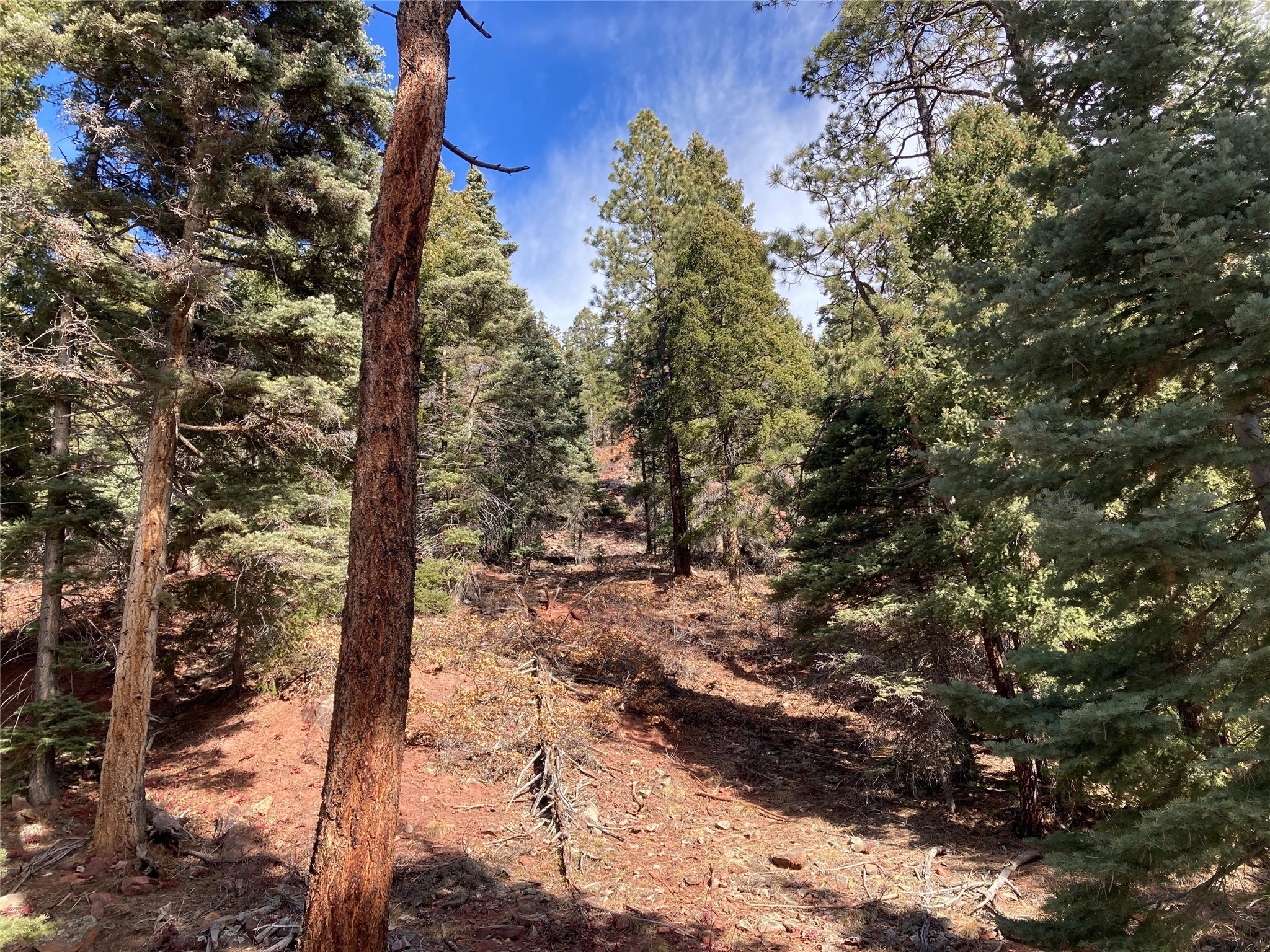 TBD West Tract 11, Chama, New Mexico image 17