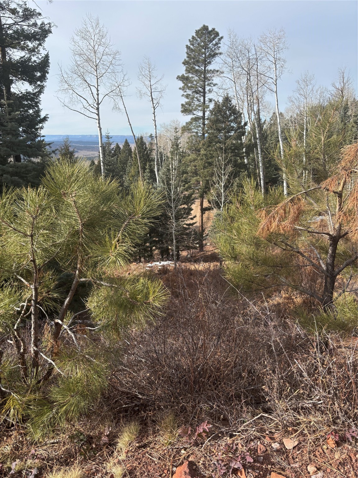 TBD West Tract 11, Chama, New Mexico image 27