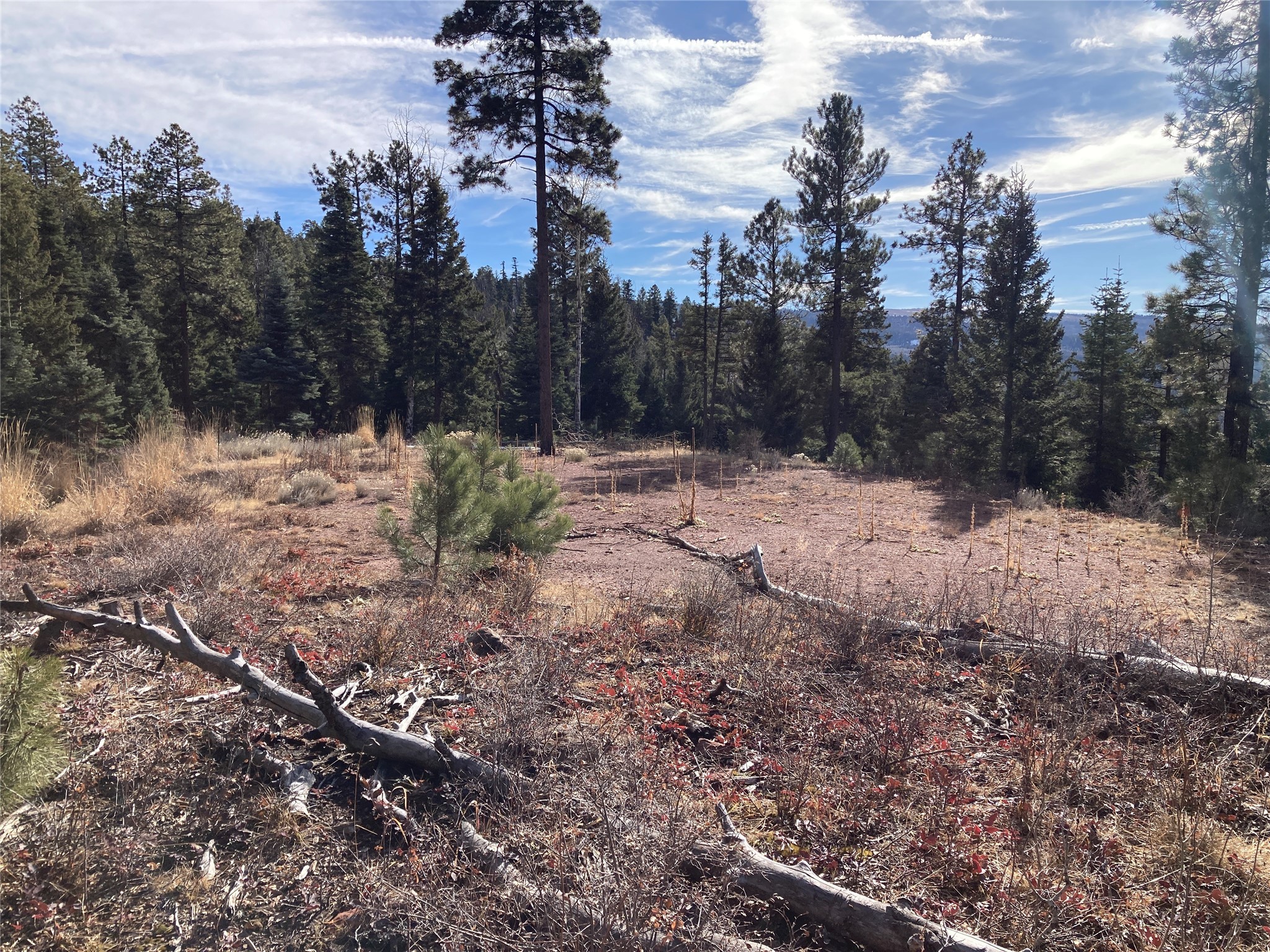 TBD West Tract 11, Chama, New Mexico image 18