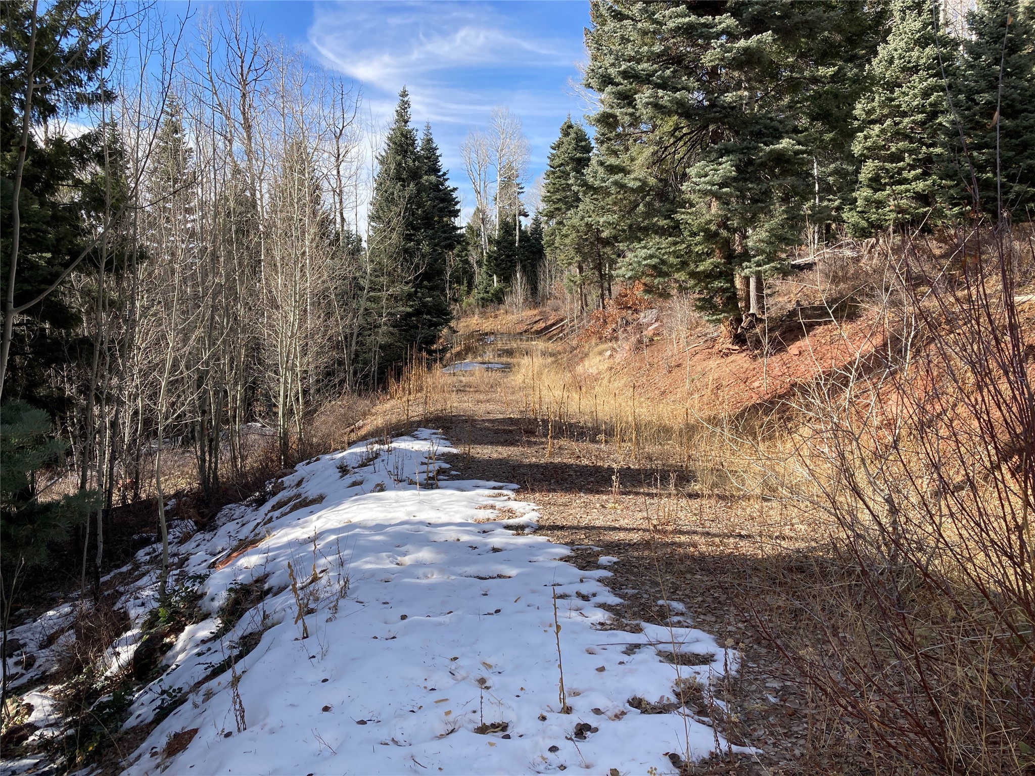 TBD West Tract 11, Chama, New Mexico image 5