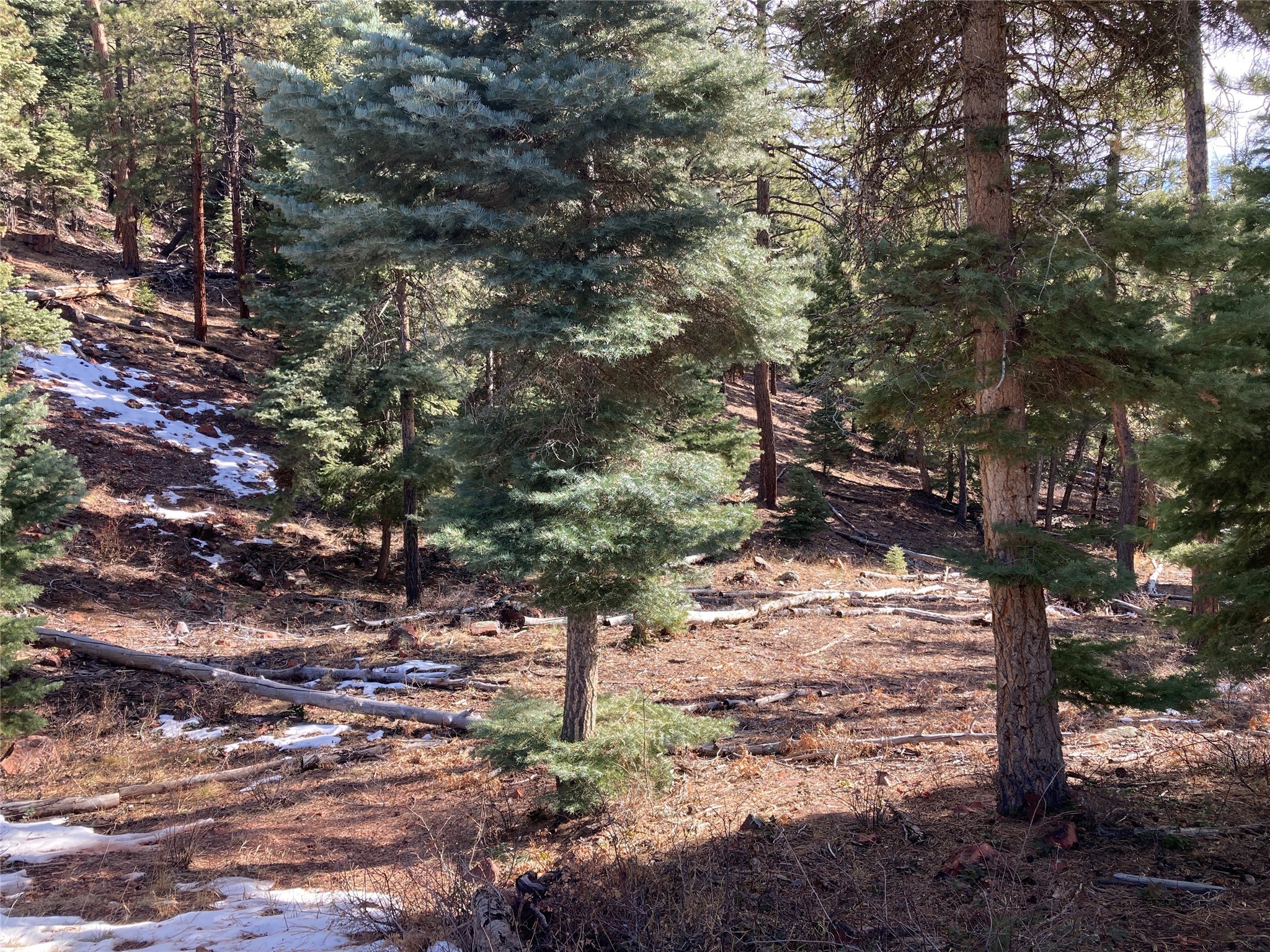 TBD West Tract 11, Chama, New Mexico image 15