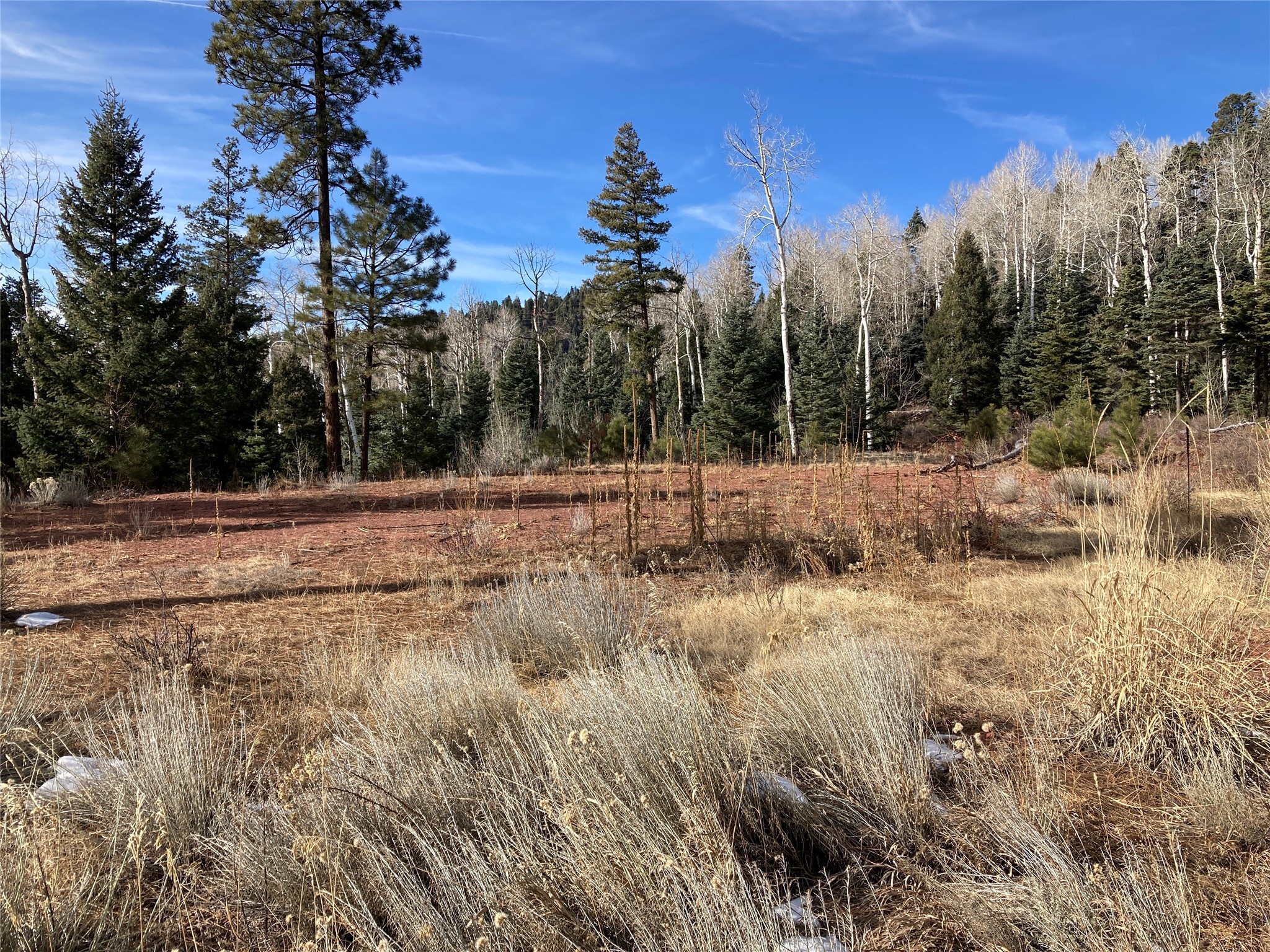 TBD West Tract 11, Chama, New Mexico image 7