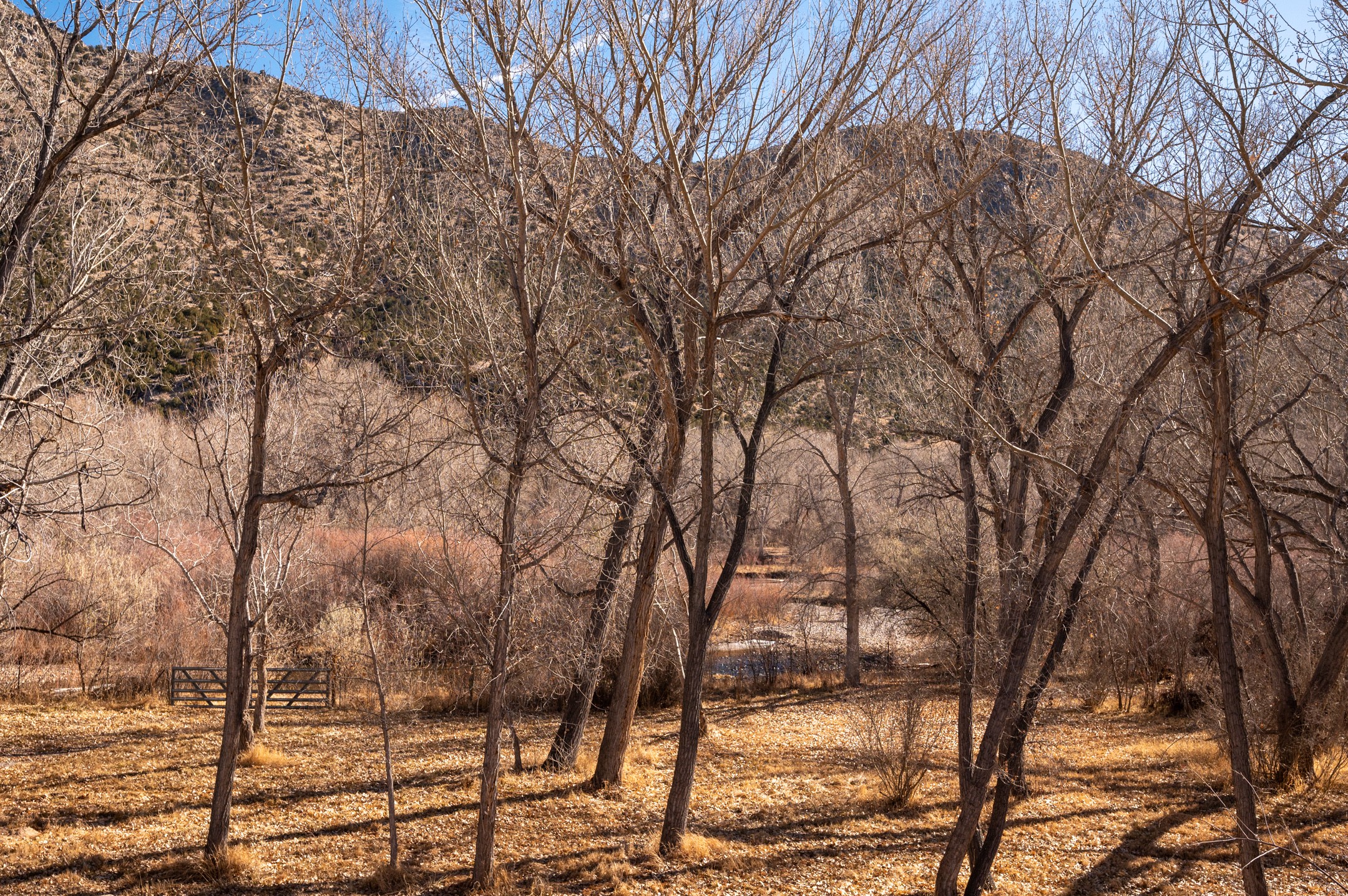 408 Nm Highway 111, La Madera, New Mexico image 30