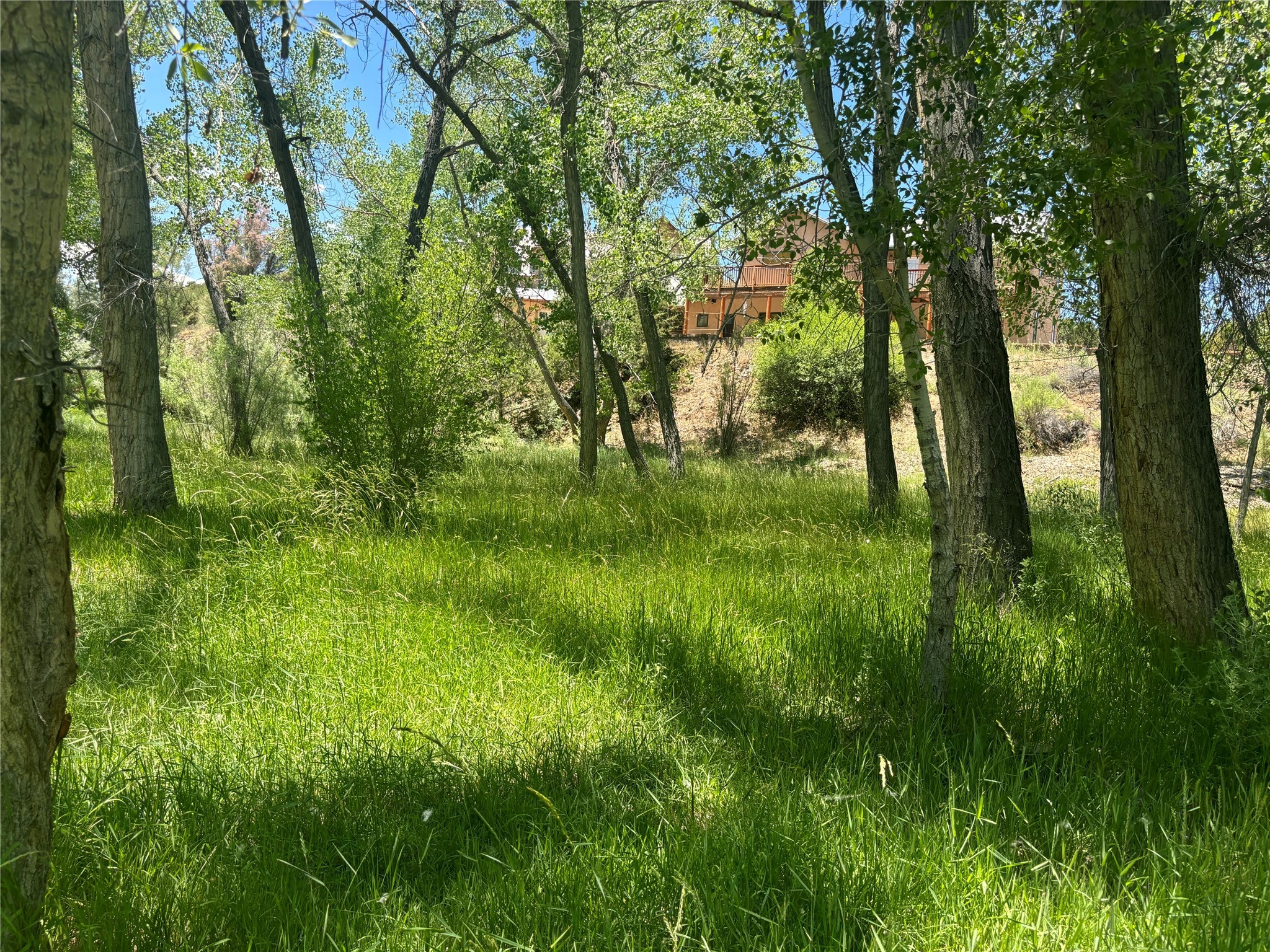 408 Nm Highway 111, La Madera, New Mexico image 7