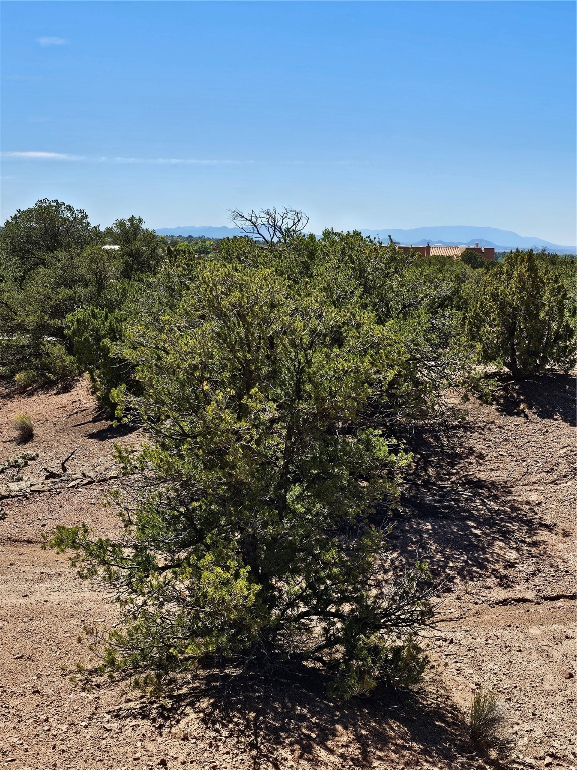 726 Avenida Castellano, Santa Fe, New Mexico image 3