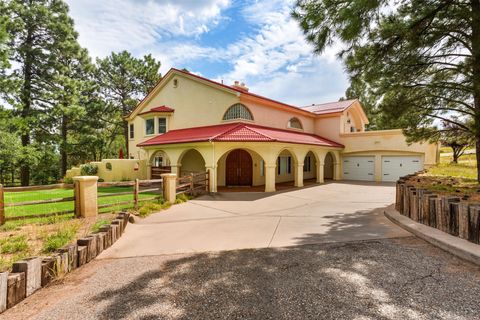10 Terry Lane, Los Alamos, NM 87544 - #: 202504342