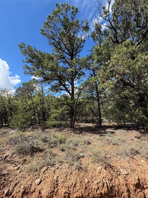 Vacant Land For Sale - LOT 180 LOT 181 LOT 223 San Pedro Estates #3<br/> Regina, NM 87046