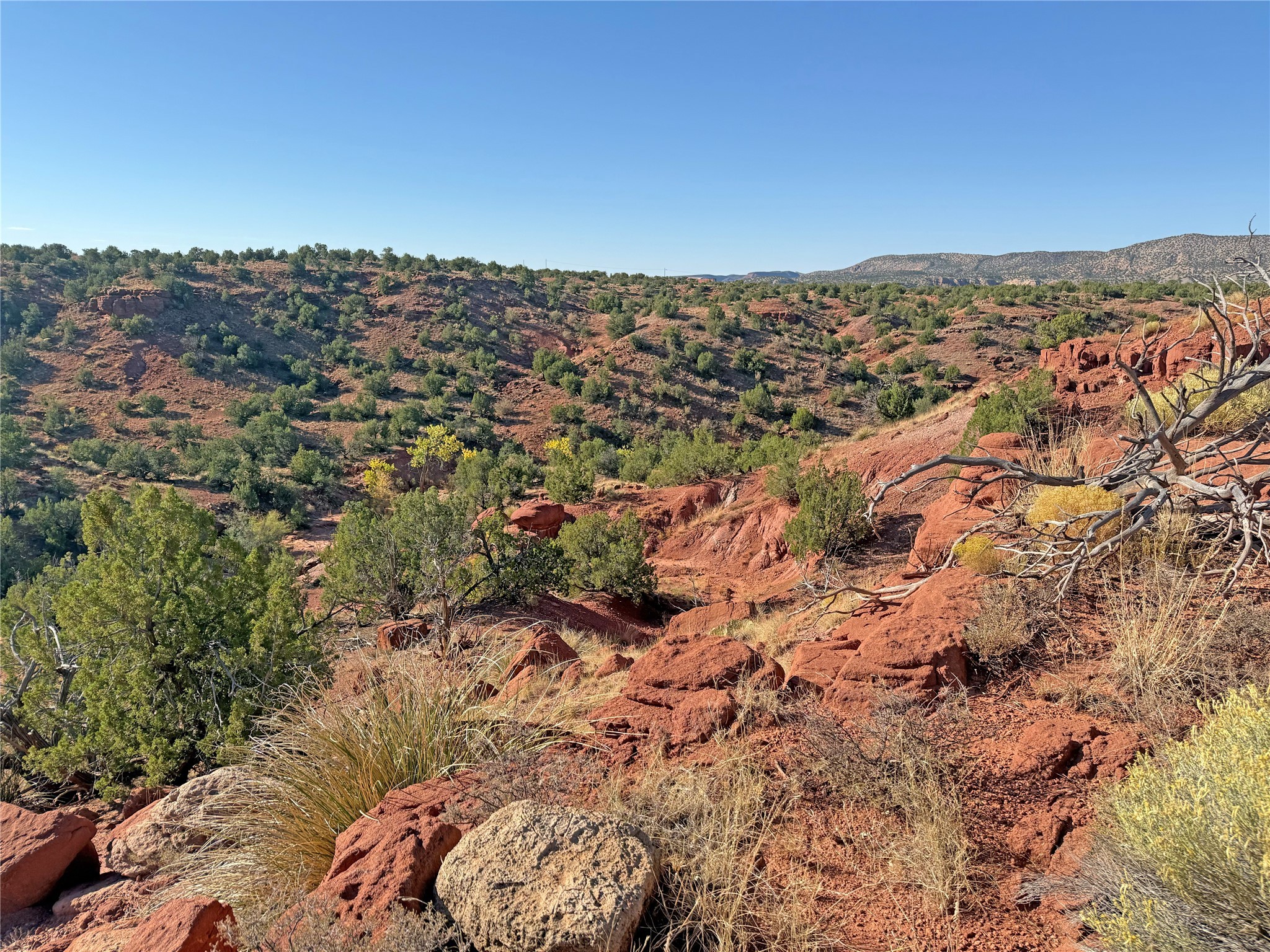 Piedra Duro, Jemez Pueblo, New Mexico image 4