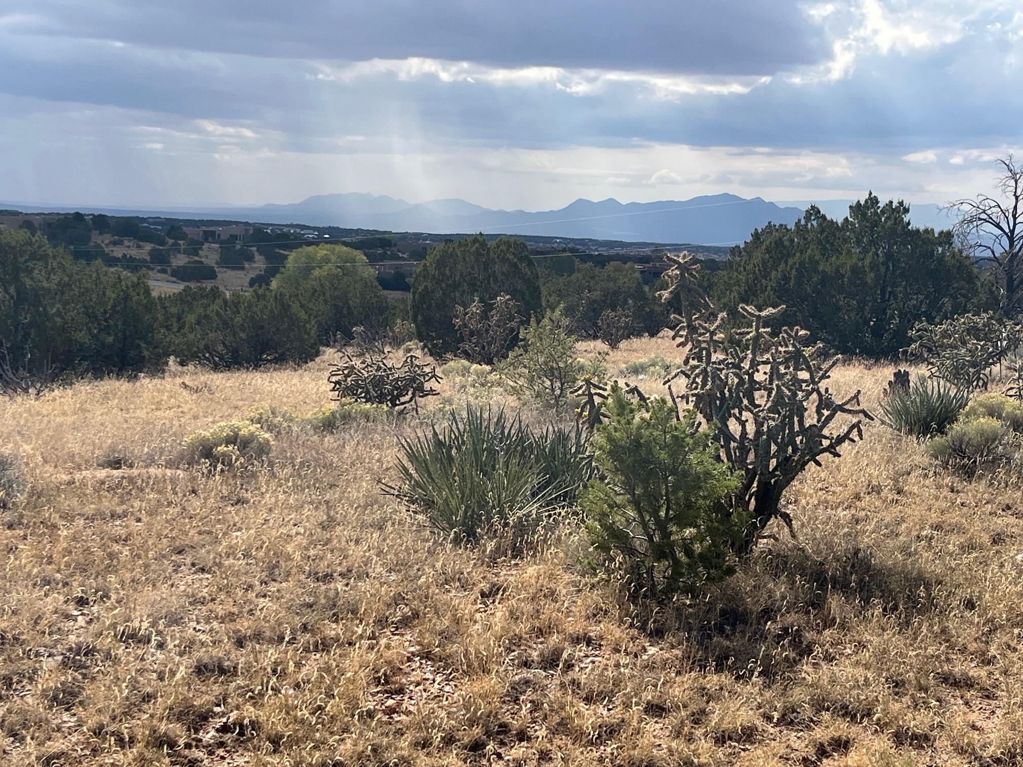 97 Camino Acote #LOT 12, Santa Fe, New Mexico image 7