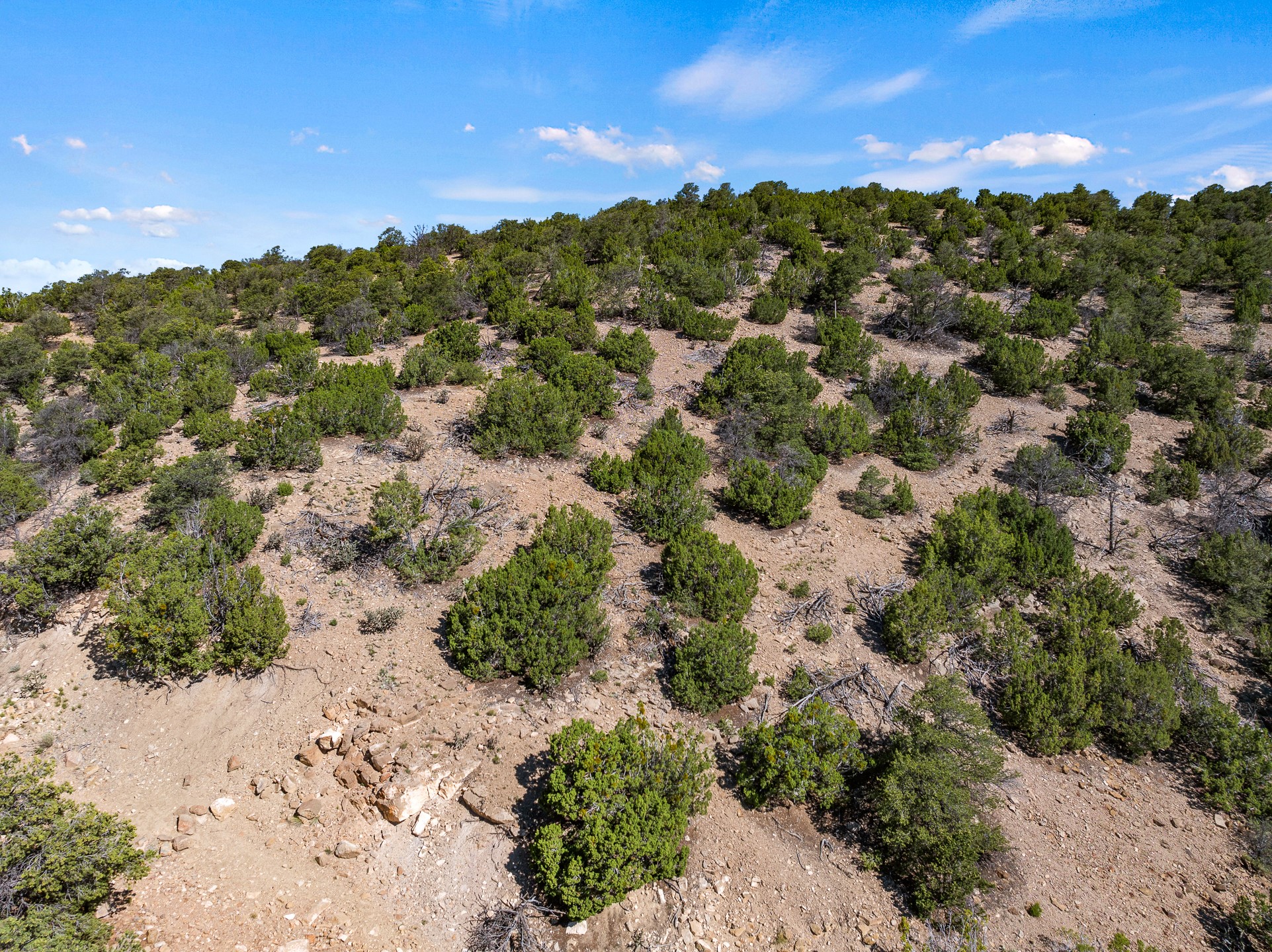 1677 Cerro Gordo #19, Santa Fe, New Mexico image 16