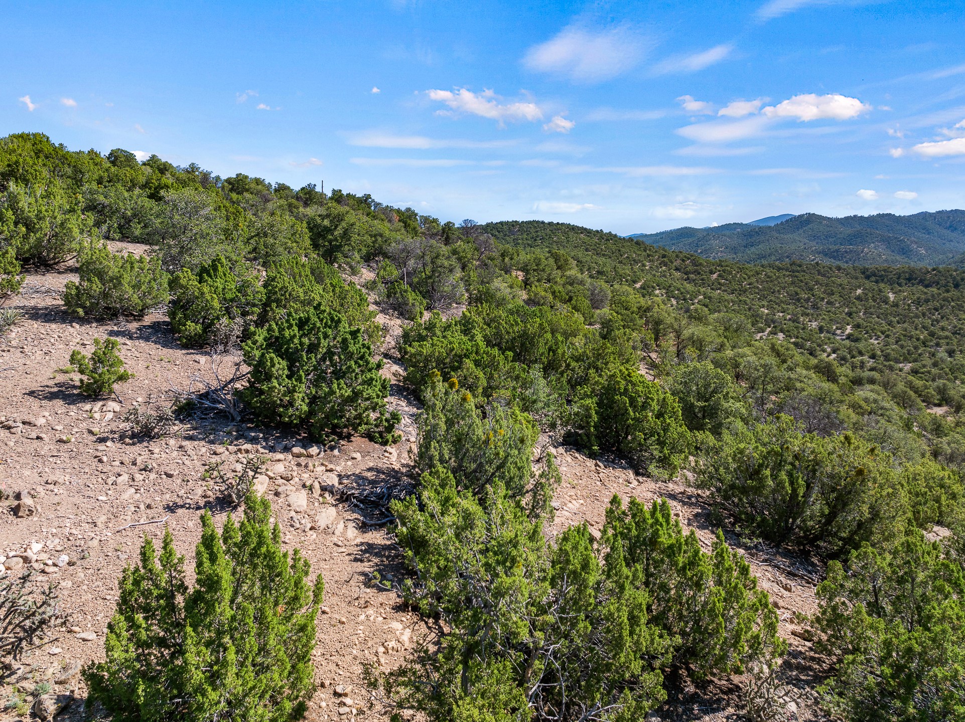 1677 Cerro Gordo #19, Santa Fe, New Mexico image 17