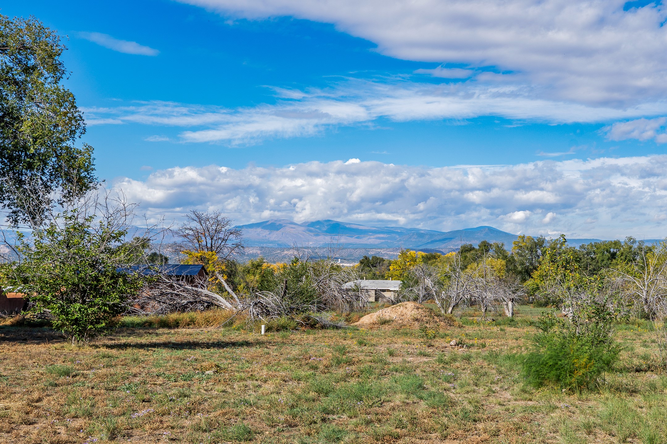Santa Fe, New Mexico 87532, United States, 4 Bedrooms Bedrooms, ,2 BathroomsBathrooms,Residential,Active,235721