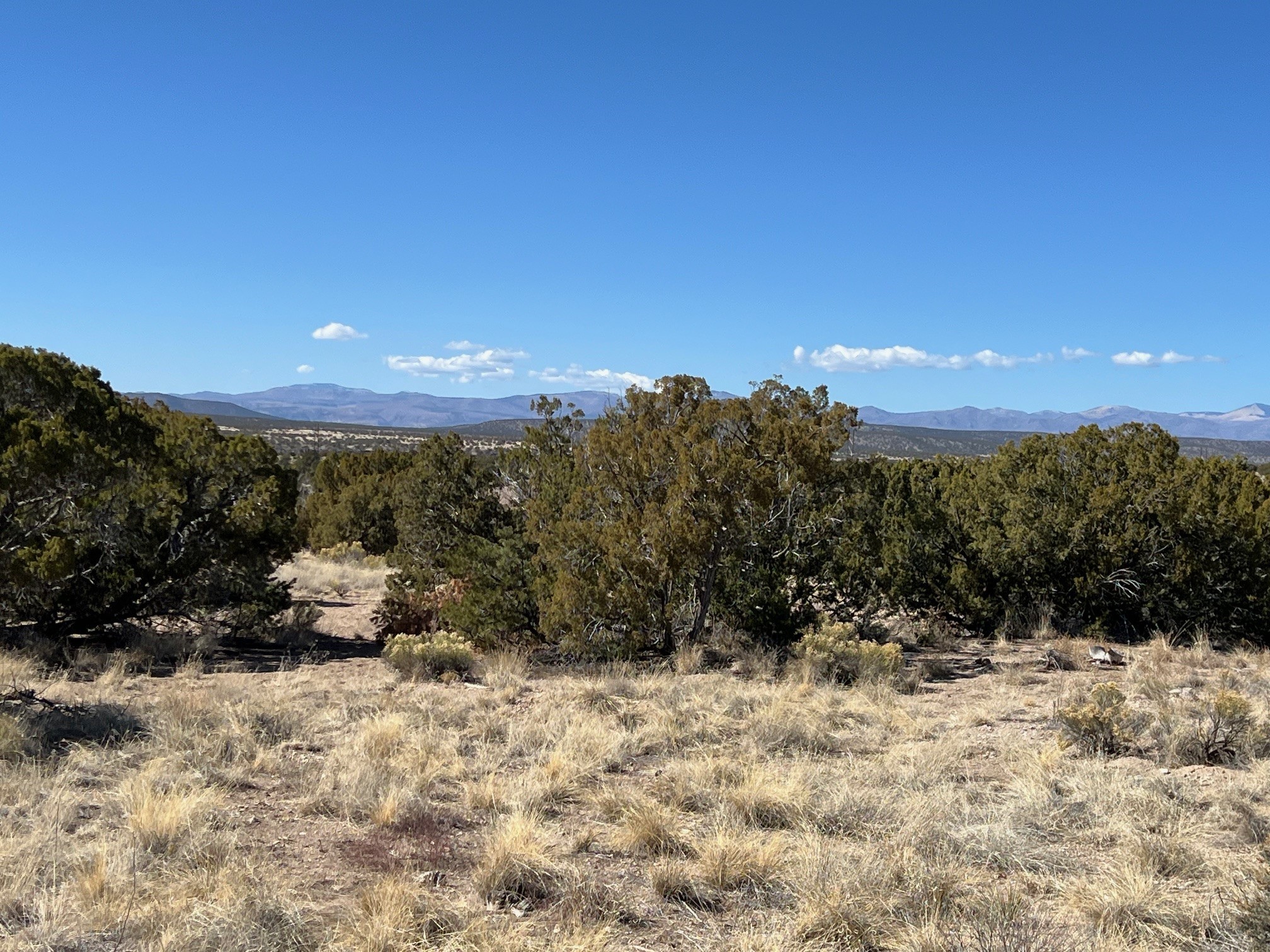 Calle Gonzales, Santa Fe, New Mexico image 3