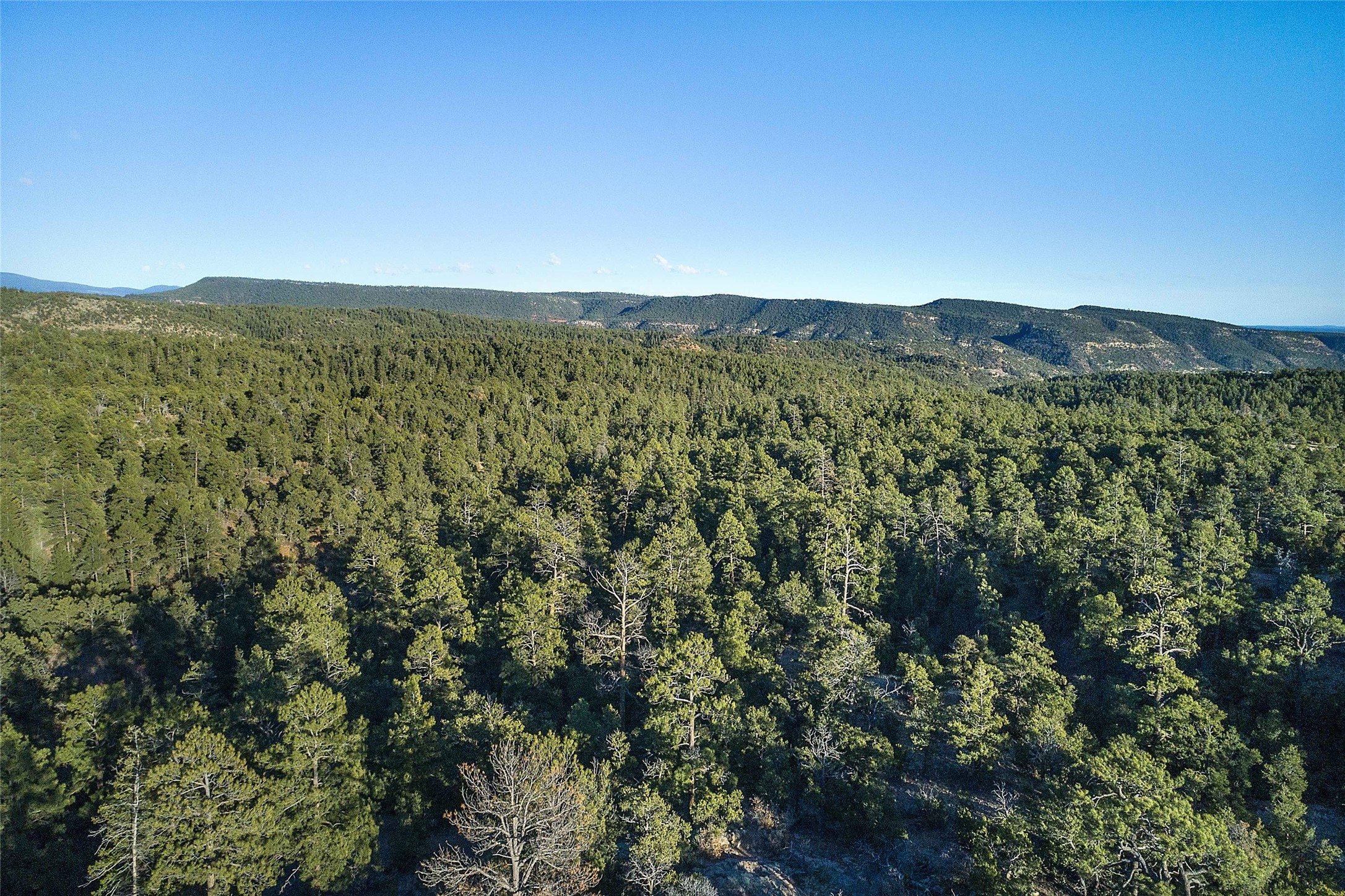 Apache Ridge Rd Lot 4, Santa Fe, New Mexico image 12