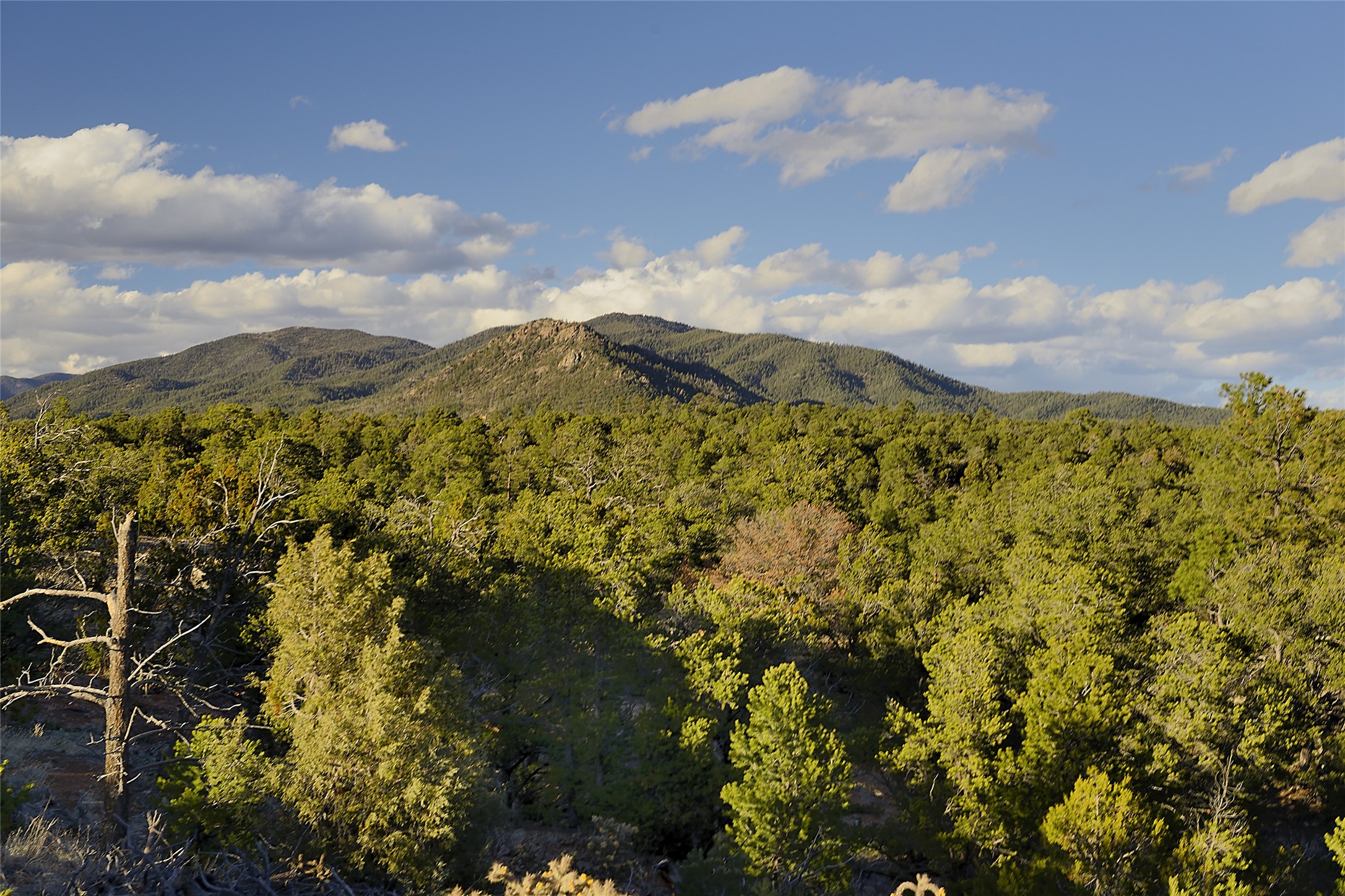 Apache Ridge Rd Lot 4, Santa Fe, New Mexico image 17