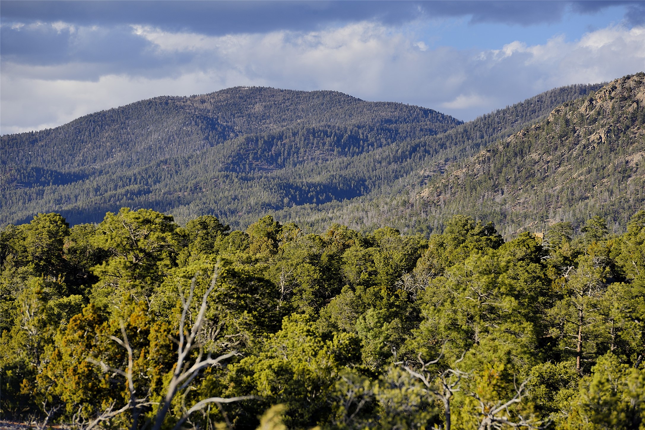 Apache Ridge Rd Lot 4, Santa Fe, New Mexico image 2
